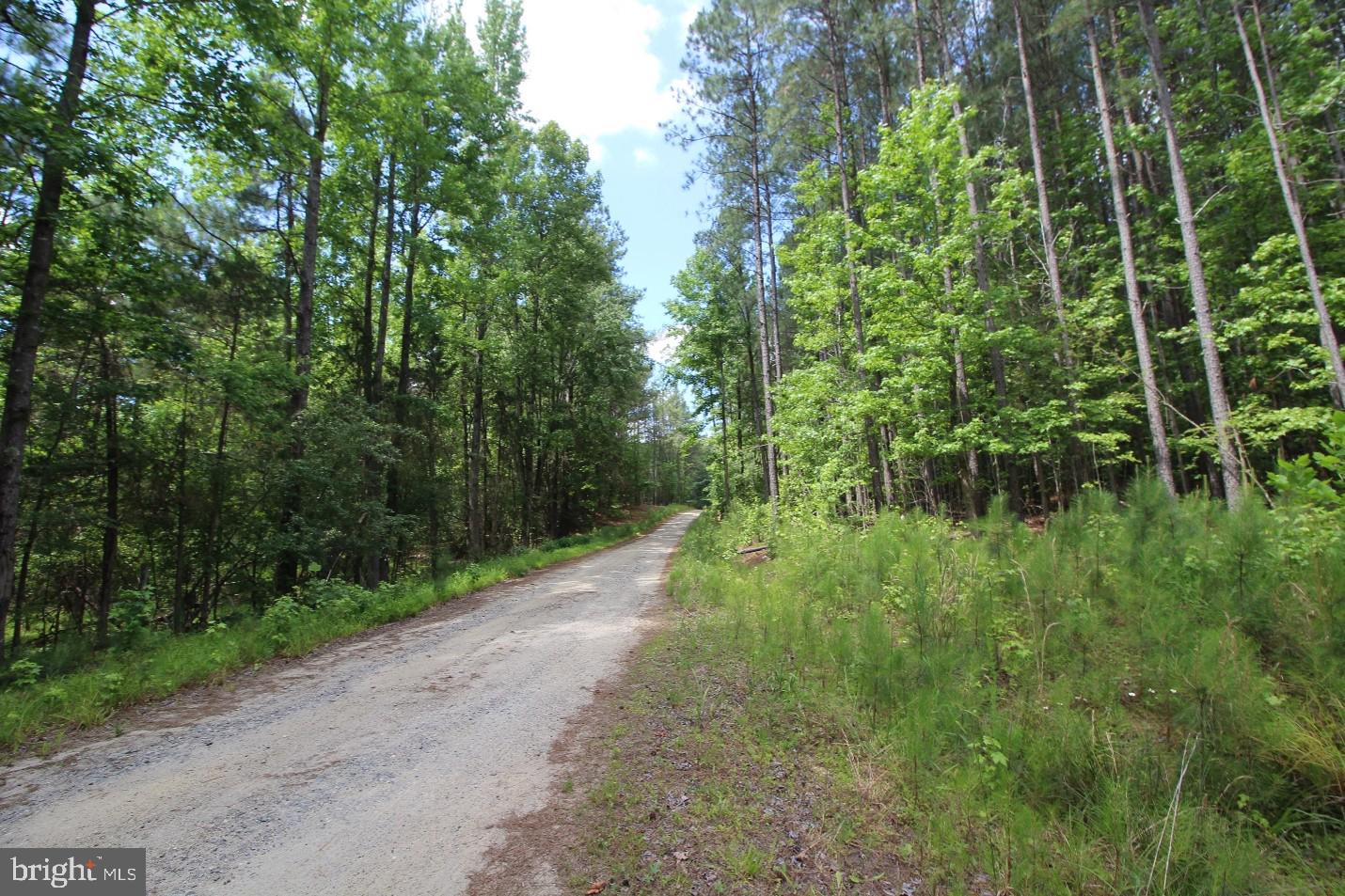 FITZHUGH'S BLUFF - Land