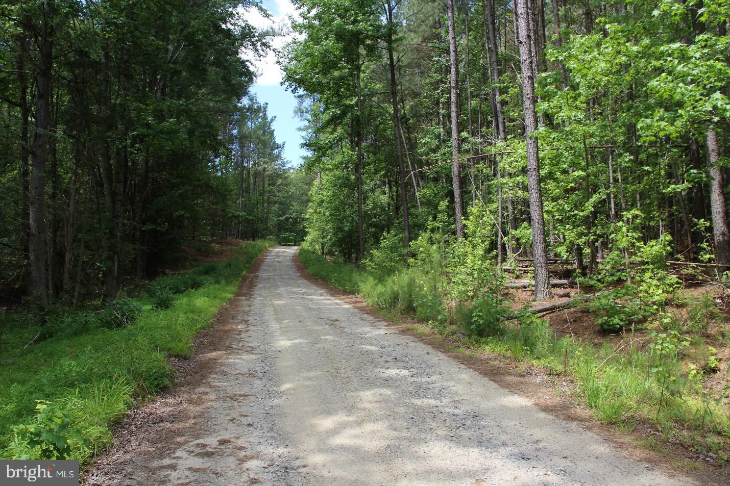 FITZHUGH'S BLUFF - Land