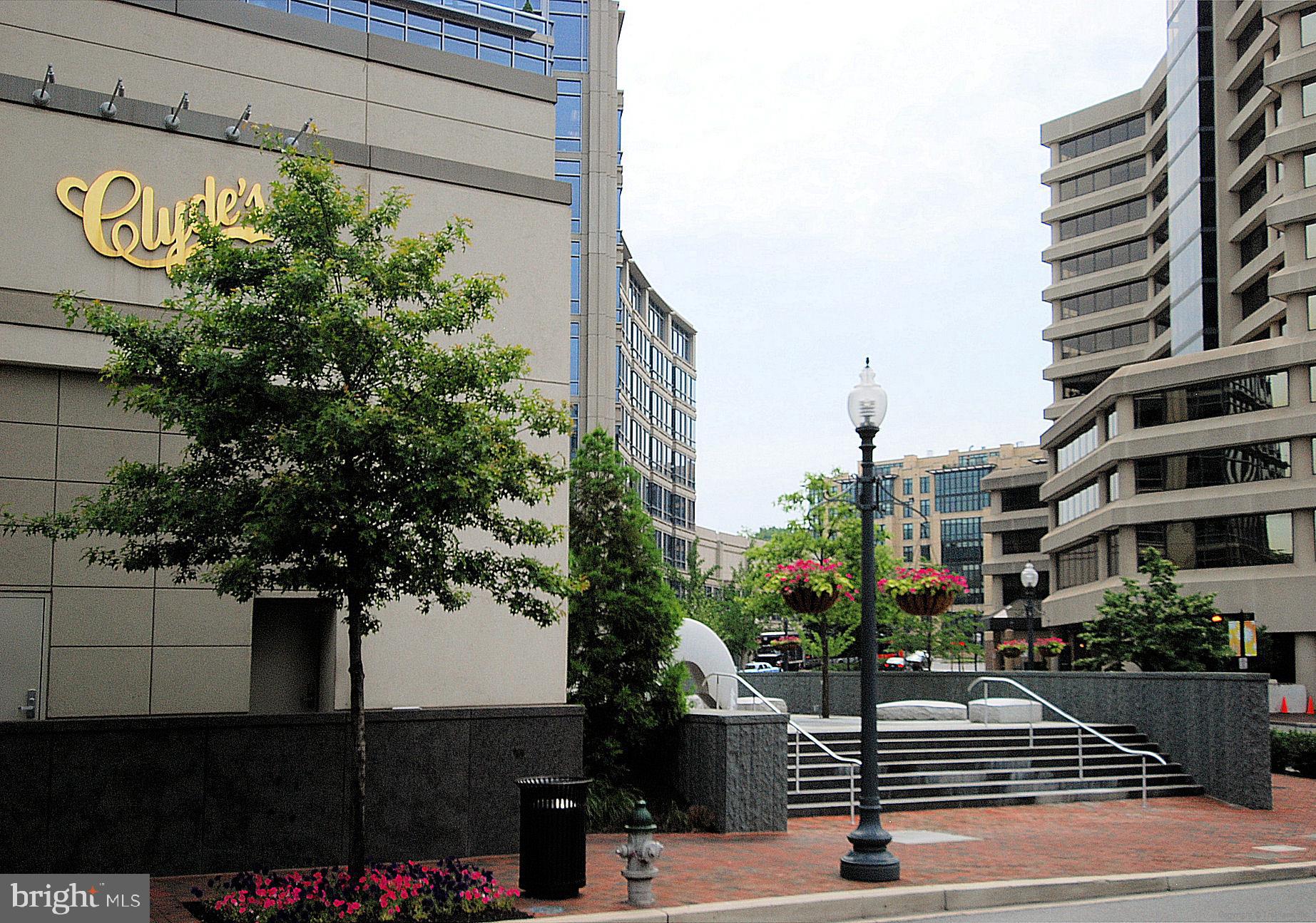 SOMERSET HOUSE CONDOS - Residential