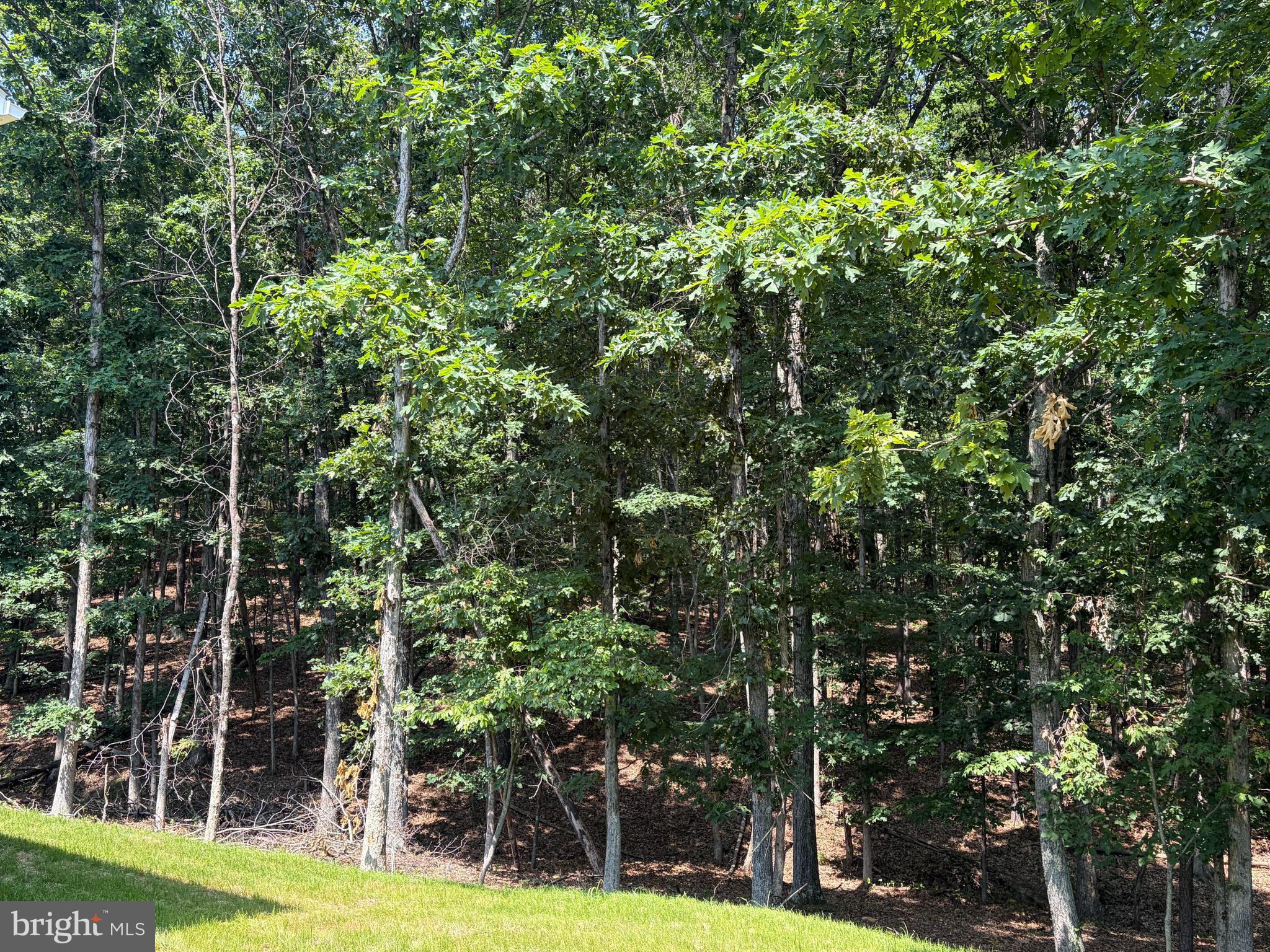 TWIN LAKES EAST - Residential