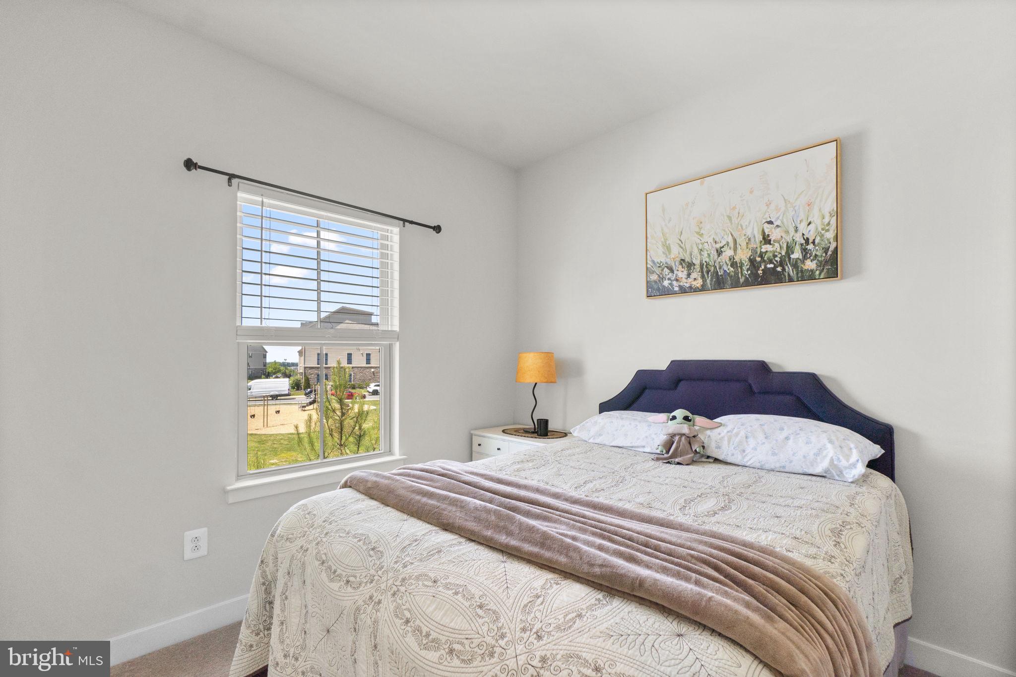 LAKE LINGANORE TOWN CENTER - Residential