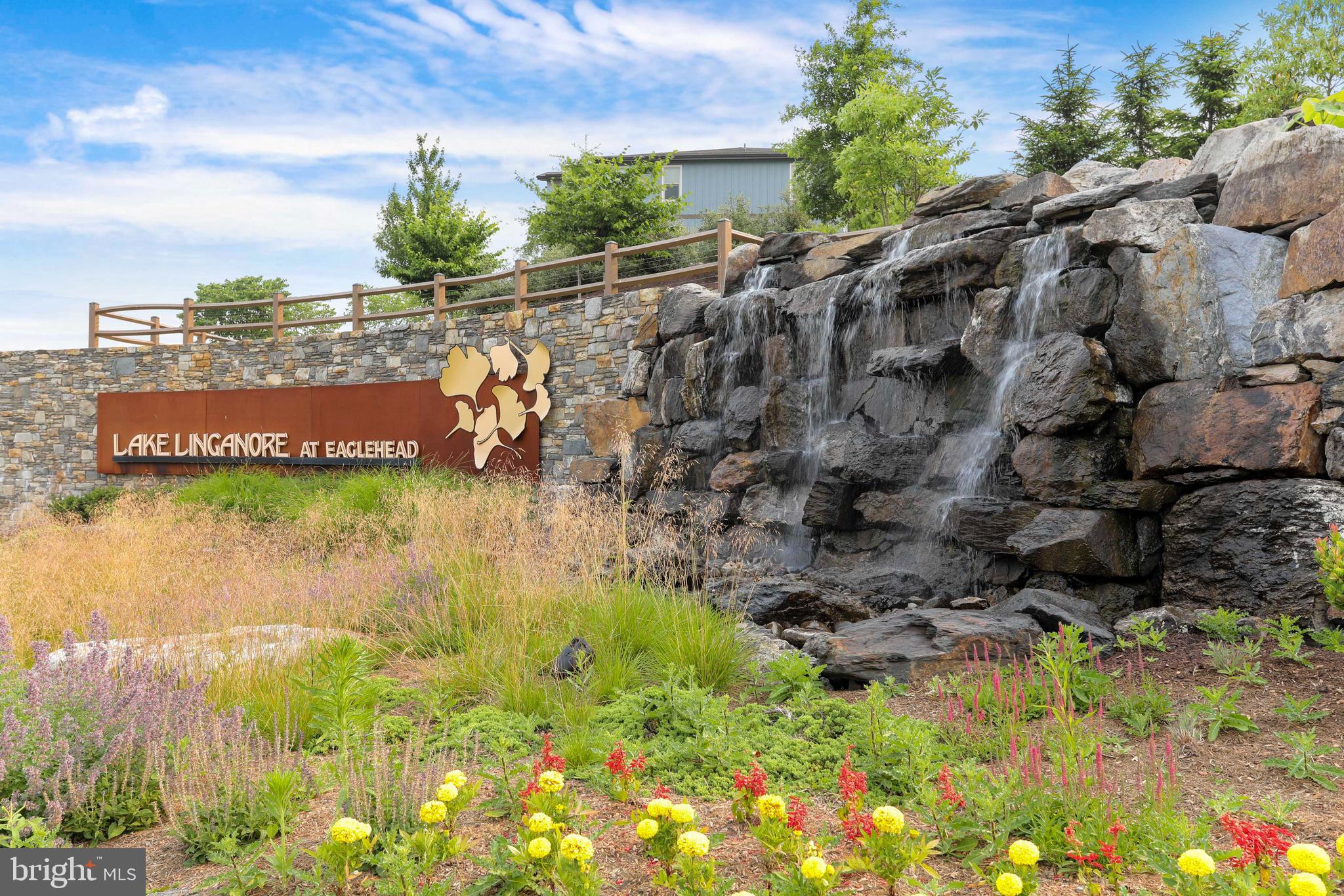 LAKE LINGANORE TOWN CENTER - Residential