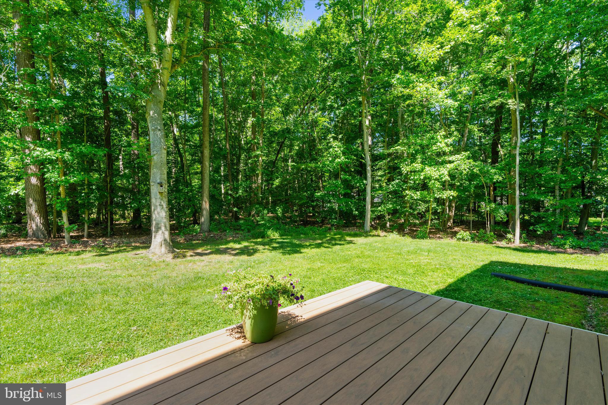 QUEEN ANNE WOODS - Residential