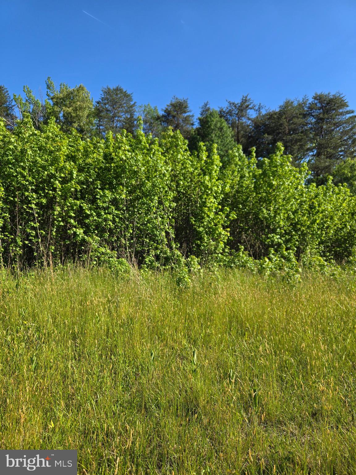 Rare find in Spotsy with a 3 acre undeveloped lot.  Utility boxes near by but no known connections or perc.  Recommend due diligence for intended development.  New lower price.