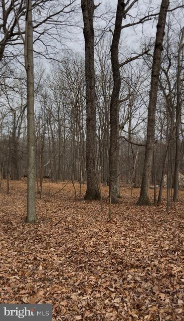 5 acres  beautiful wooded lot, with a hand-built stone building located just 30 minutes from downtown Winchester. See attached deed and plat. Property located close to 620 Winding Ridge Ln . See video and
Virginia Department of Health records attached.