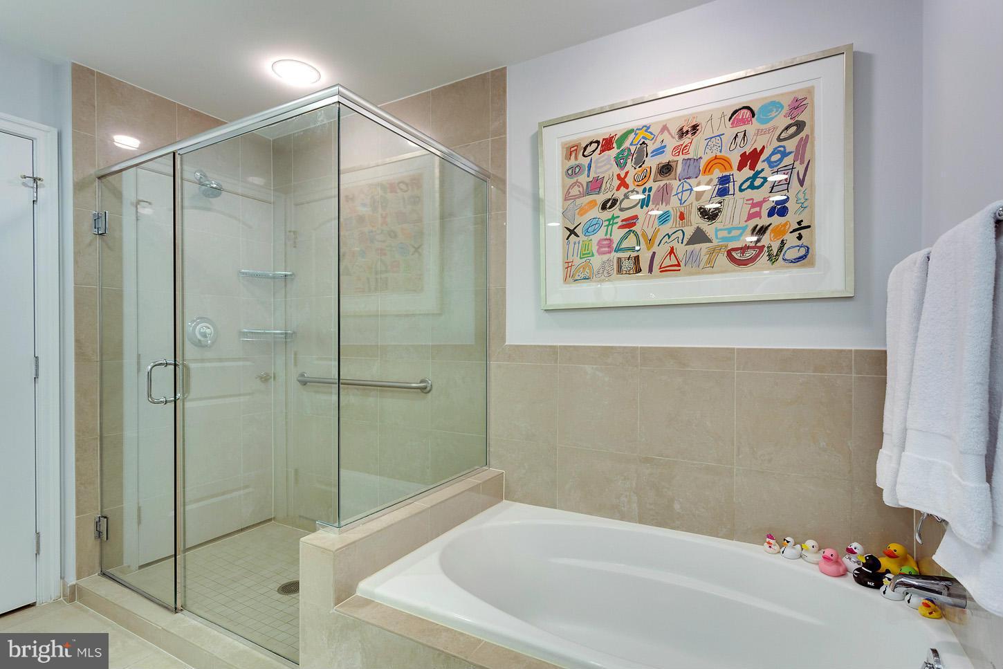 PALLADIUM AT MCLEAN - Residential