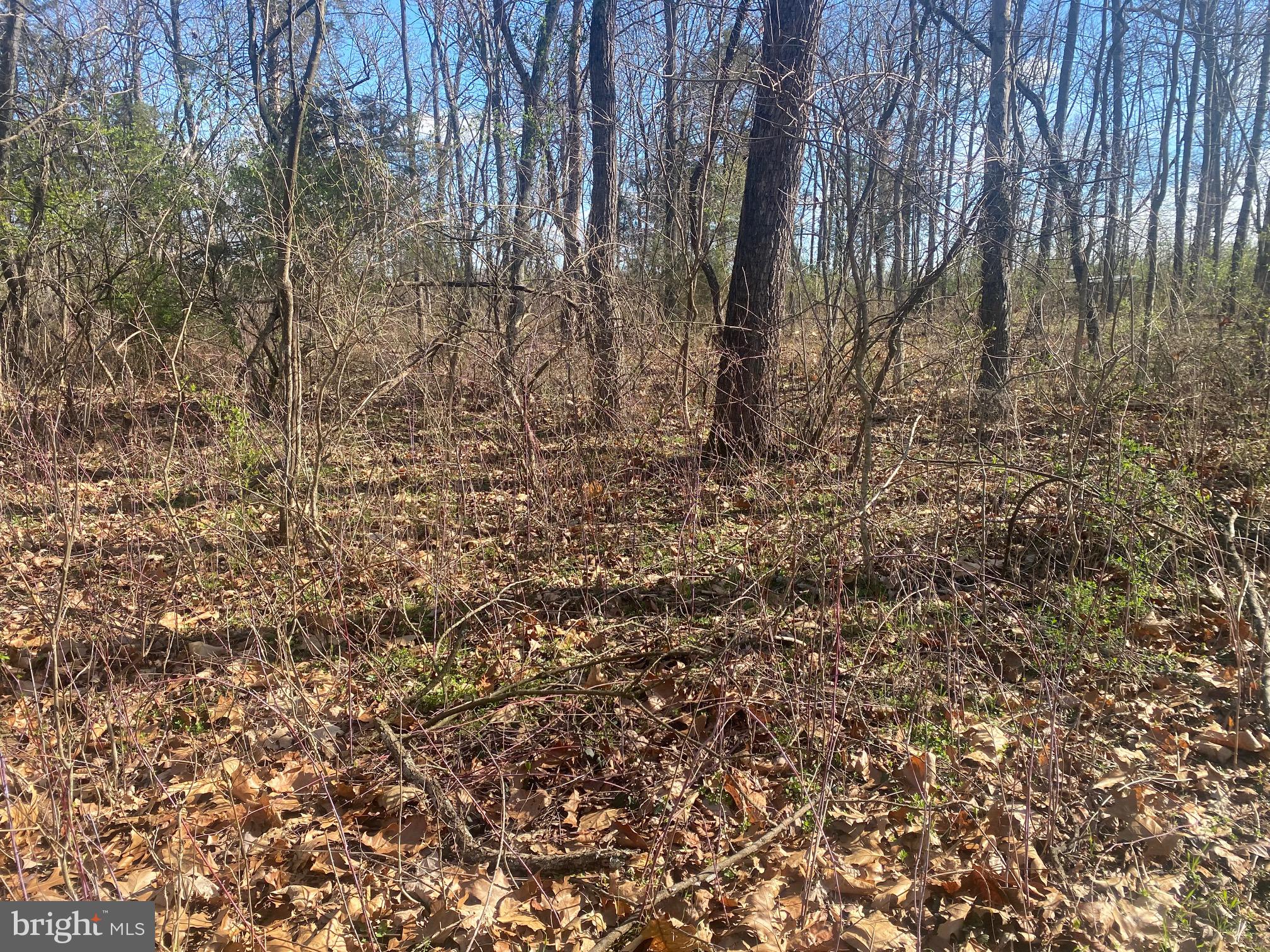 This lush level lot sits in the heart of Jefferson County. You will have a full acre of land with no HOA! Come and build your dream home in a great commuter location. This lot is close to lots of amenities while still giving you plenty of space. Don't wait - call for more information today!