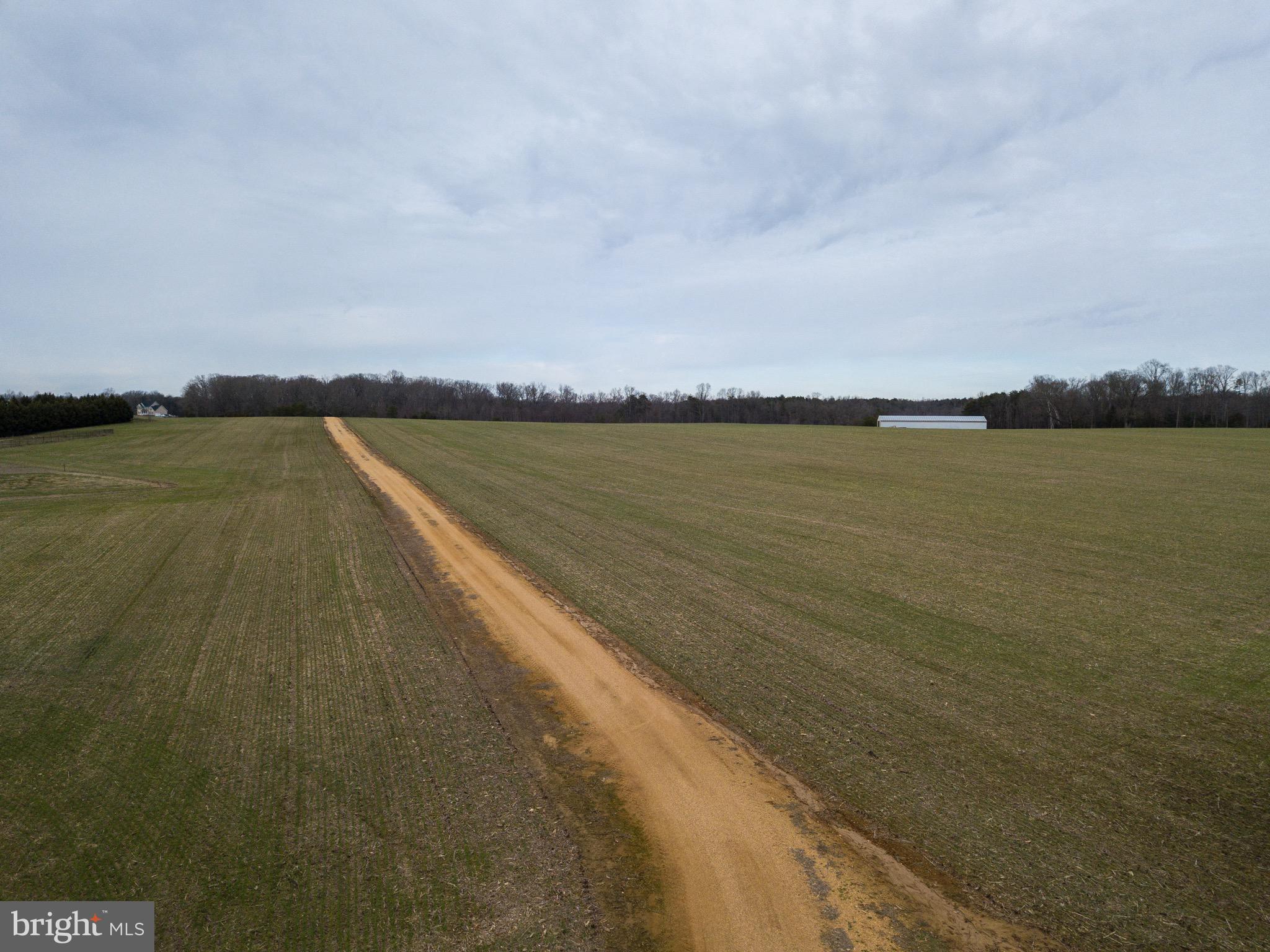 BRIDLE LAKE ESTATES - Farm