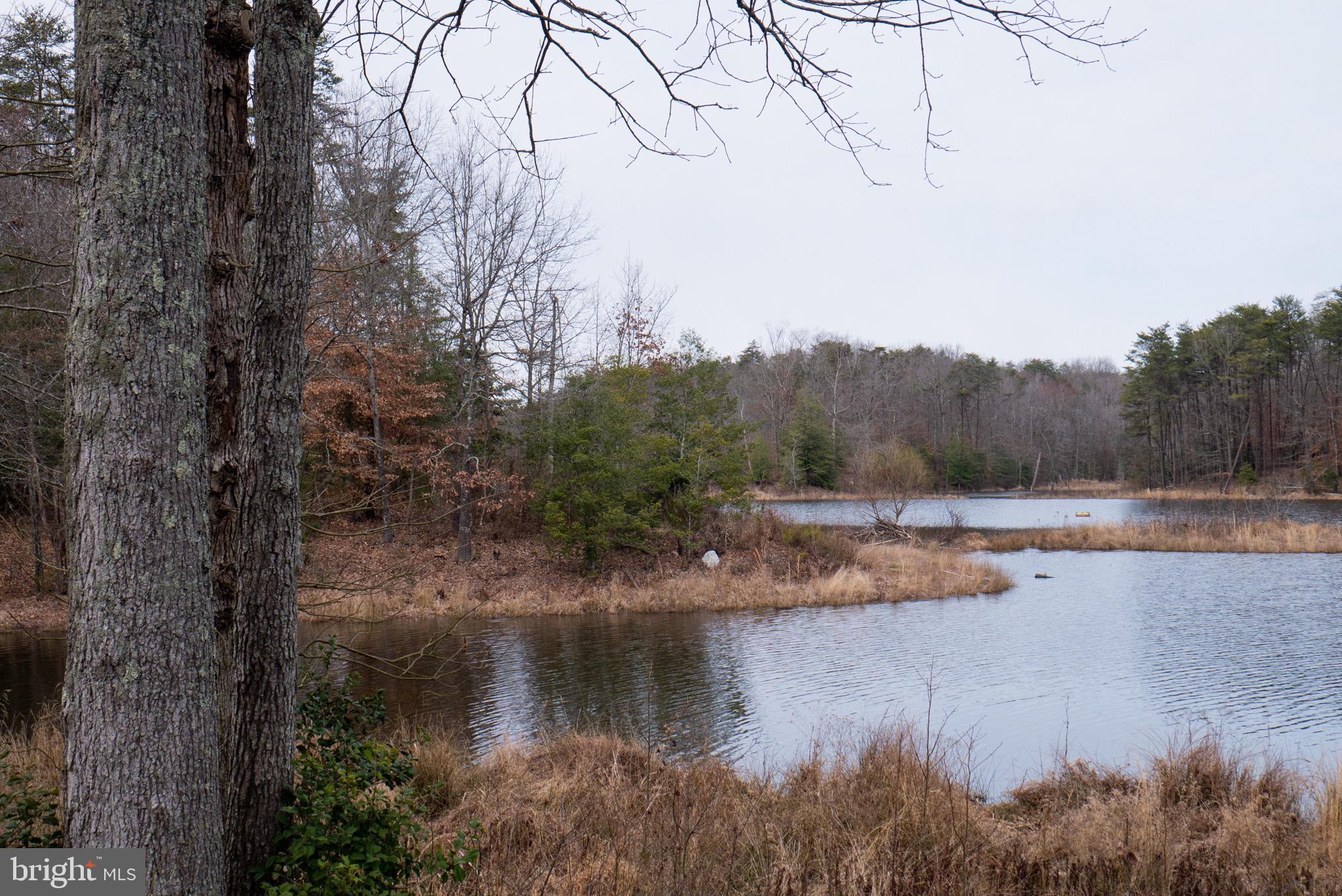 BRIDLE LAKE ESTATES - Farm