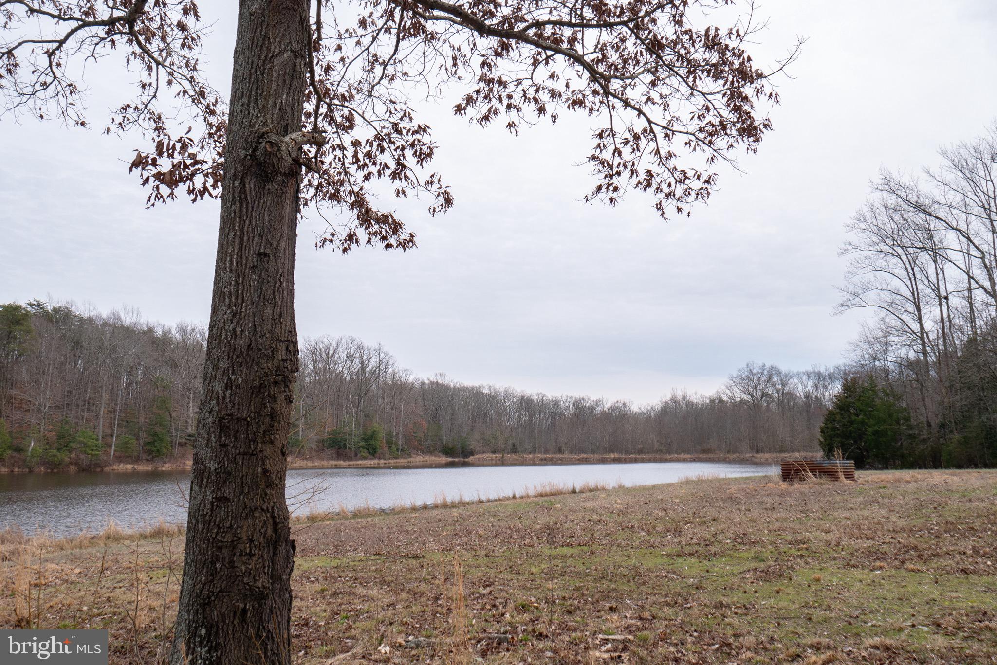 BRIDLE LAKE ESTATES - Farm