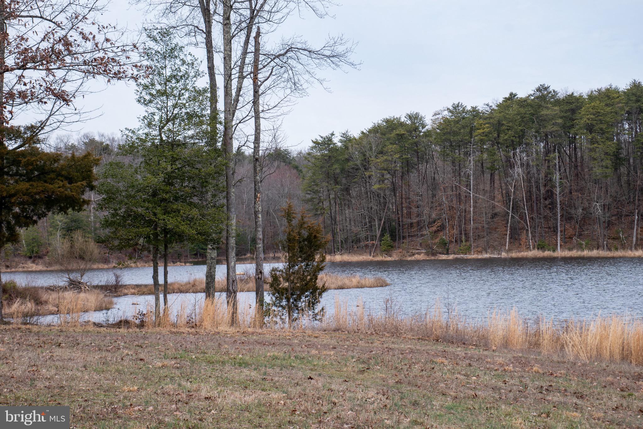 BRIDLE LAKE ESTATES - Farm