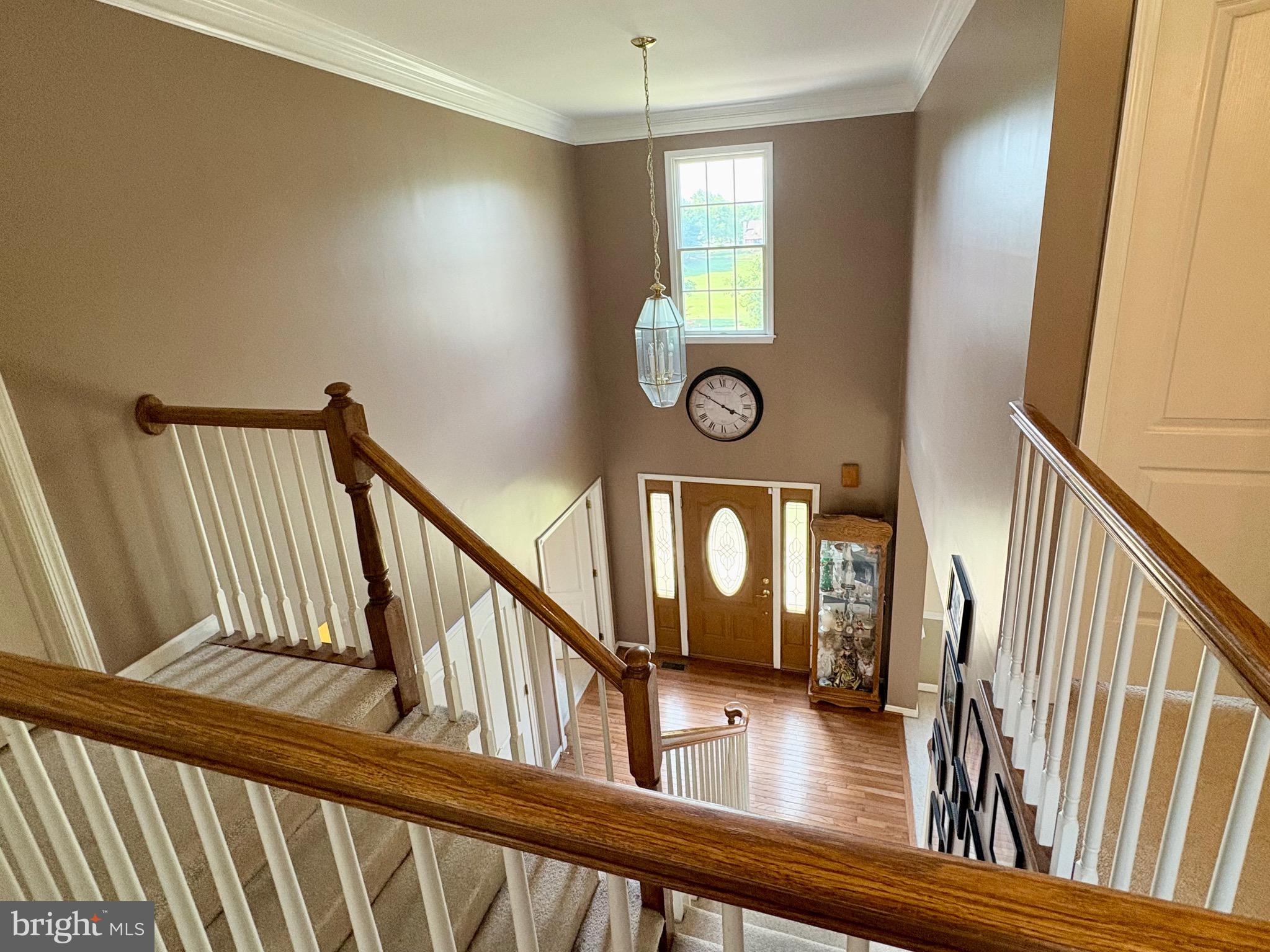 AFTON CHASE - Residential
