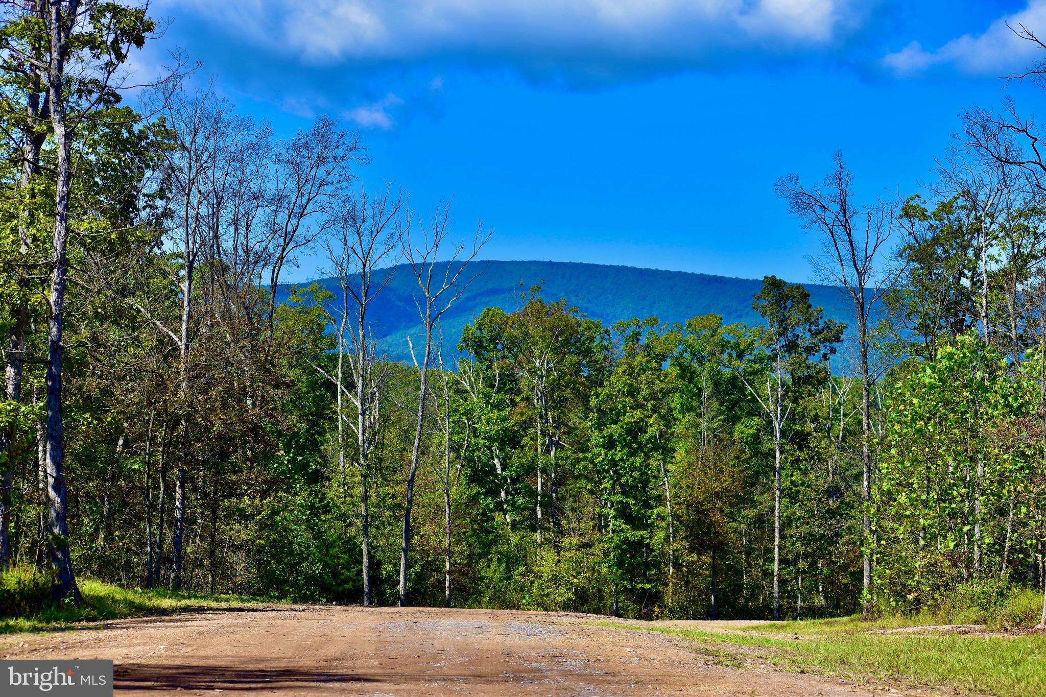 Incredible opportunity to own 158.443 acres of pristine, private land in an exclusive 3-lot, 440-acre subdivision. This is the most secluded parcel of the three, offering unmatched 360-degree panoramic views and a level of privacy that’s increasingly rare—yet just 15 minutes from town. Tucked away from the lights and sounds of civilization, this property provides a peaceful, off-the-beaten-path lifestyle without sacrificing convenience. A large, flat, cleared building site sits at one of the property’s highest elevations, offering unobstructed views and stunning sunrises and sunsets. This homesite comes with a recorded four-bedroom septic certification letter and a proposed well site. Electric service is also available at the property corner, streamlining the building process. The land features a diverse landscape with miles of views, acres of forest, and over 30 acres of naturally cleared meadow—ideal for wildlife enthusiasts, hunters, or those seeking a low-maintenance natural setting. A stretch of utility easement with power lines crosses a portion of the property and is regularly maintained by the utility company, creating a wide, open corridor perfect for hiking, riding, or wildlife viewing. Owners are free to use this area, including fencing, as long as utility access is preserved. Family subdivision is allowed. With exceptional access, incredible scenery, and nearly limitless potential, this property is truly one-of-a-kind—perfect for your dream home, family compound, hunting retreat, or nature preserve.