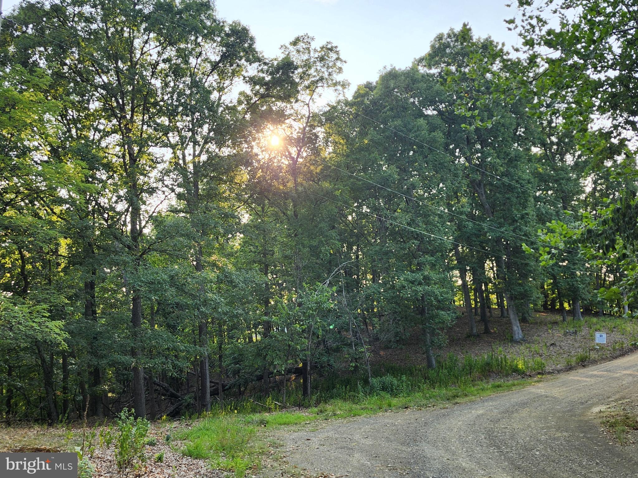 THE WOODS AT TAYLOR LAKE - Land