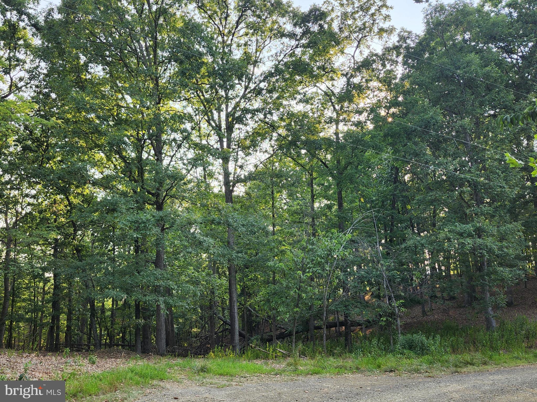 THE WOODS AT TAYLOR LAKE - Land