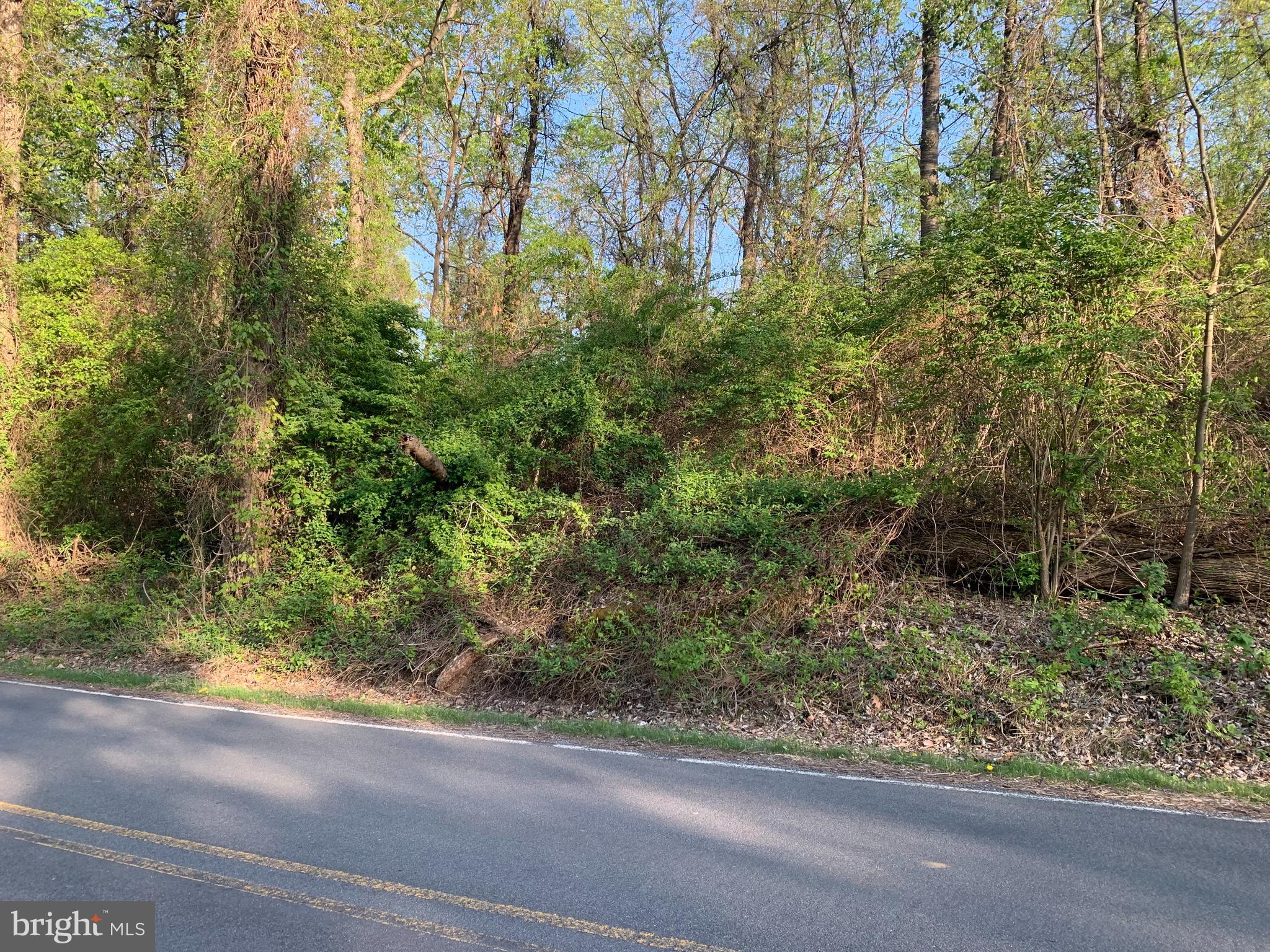 (2) lots being sold as one for a combined total of 4.05 acres. Percs and probes were approved in 2017 but may need to be updated. Nice rural setting with views of the south mountain. See associated docs for additional information.