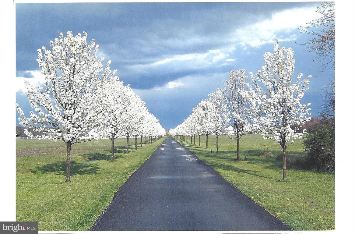 KEENE FARM - Farm