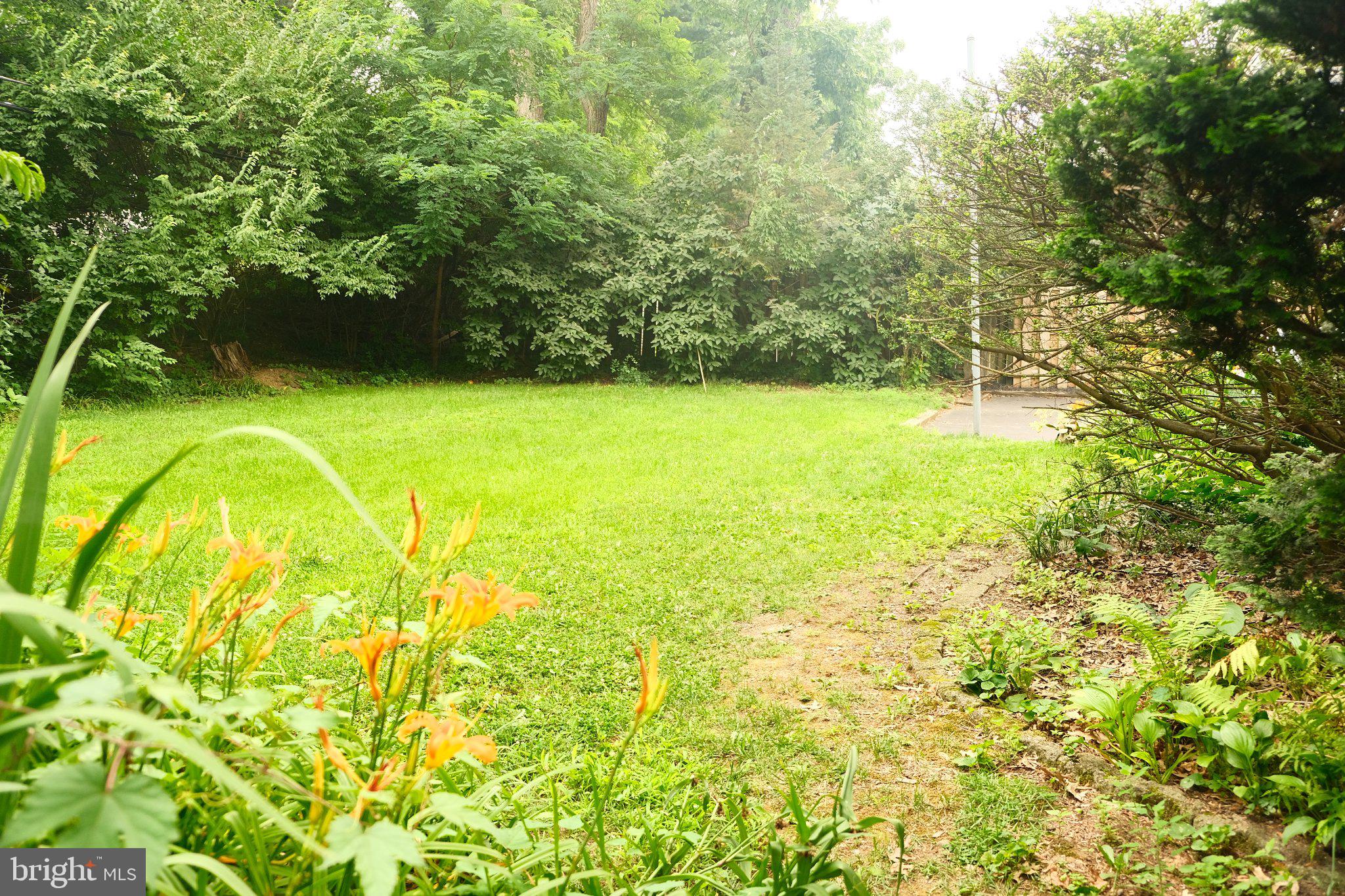 ELKINS PARK - Residential