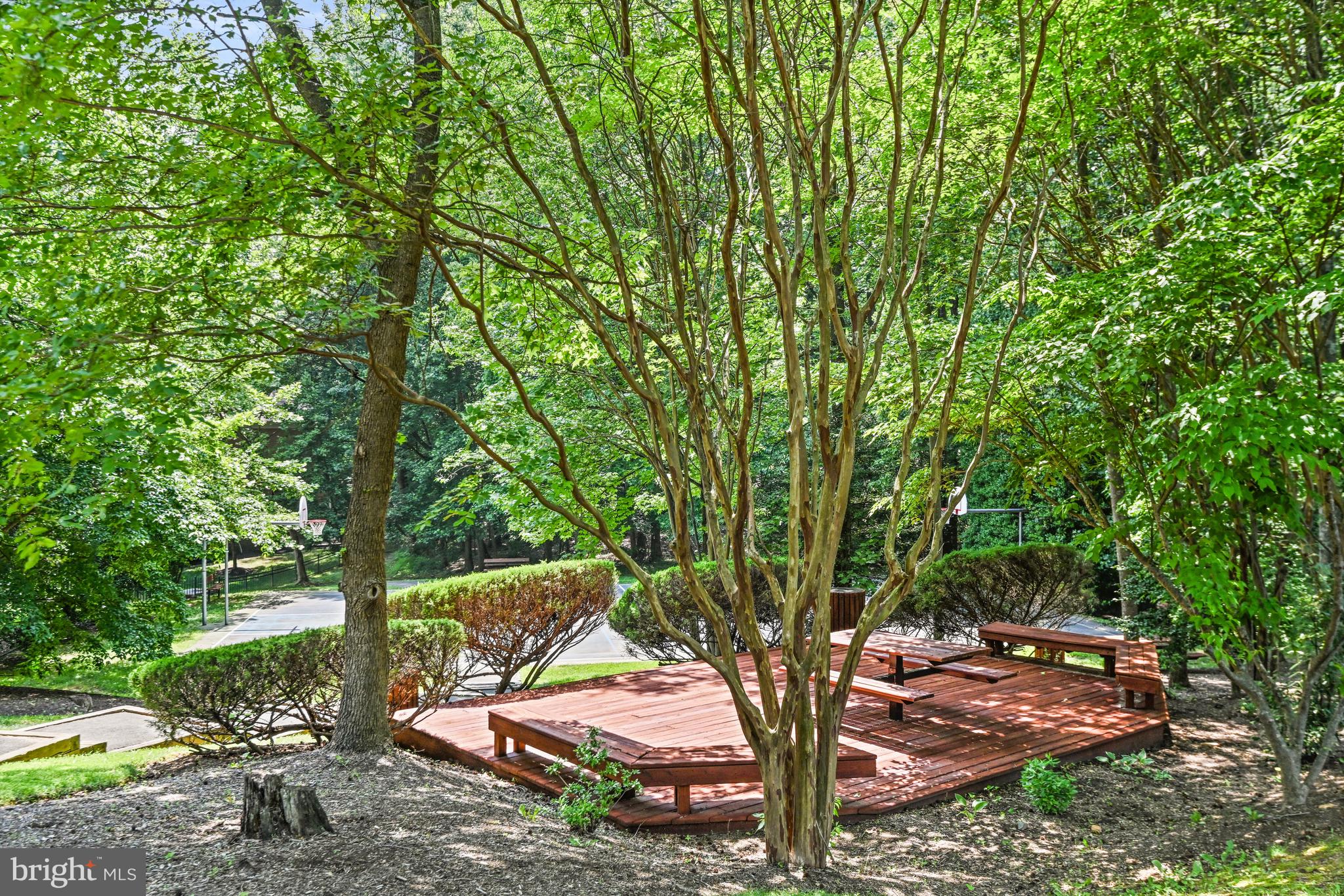 ONE CAMERON PLACE - Residential