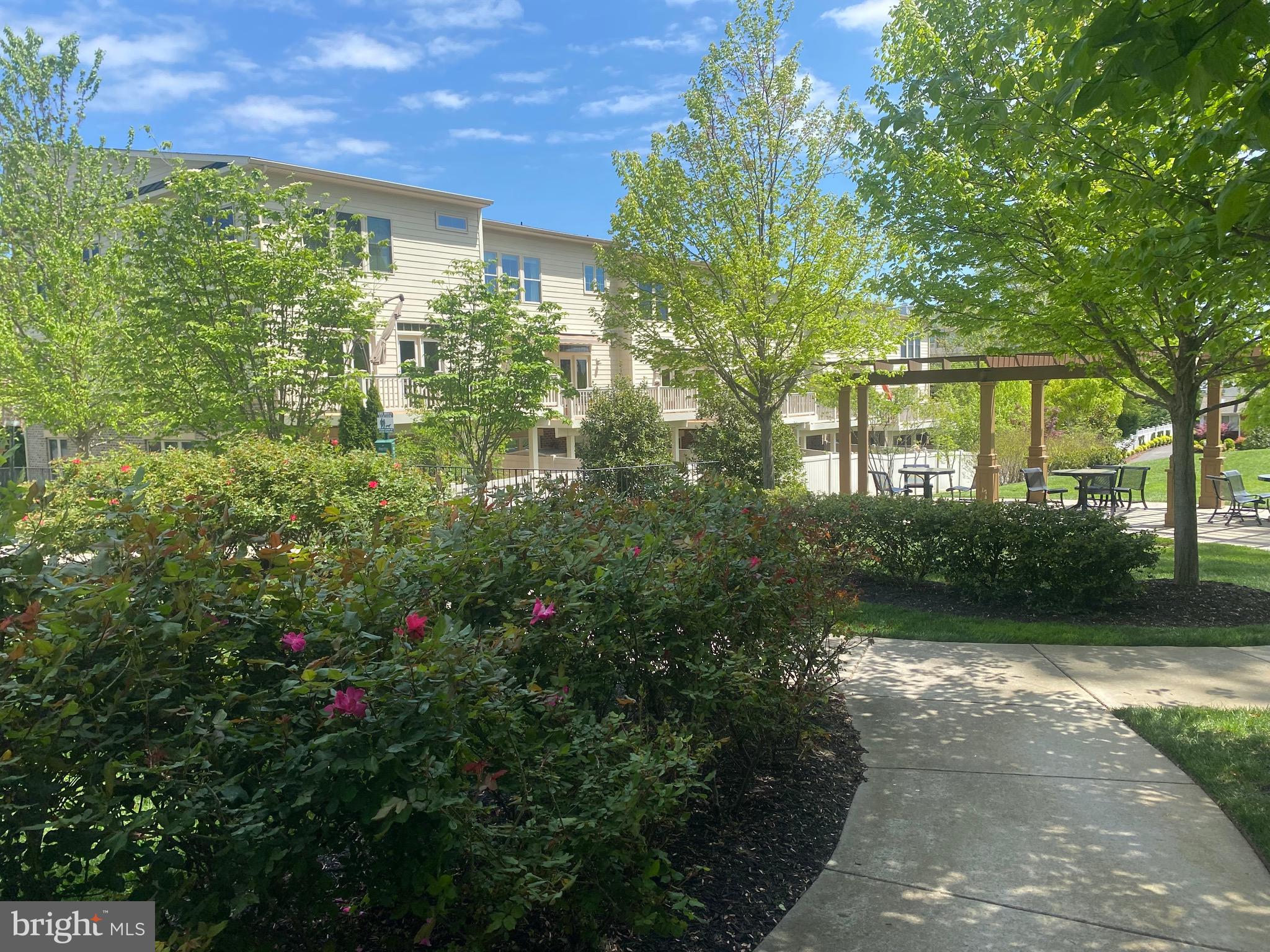 CHESTNUT PLACE - Residential
