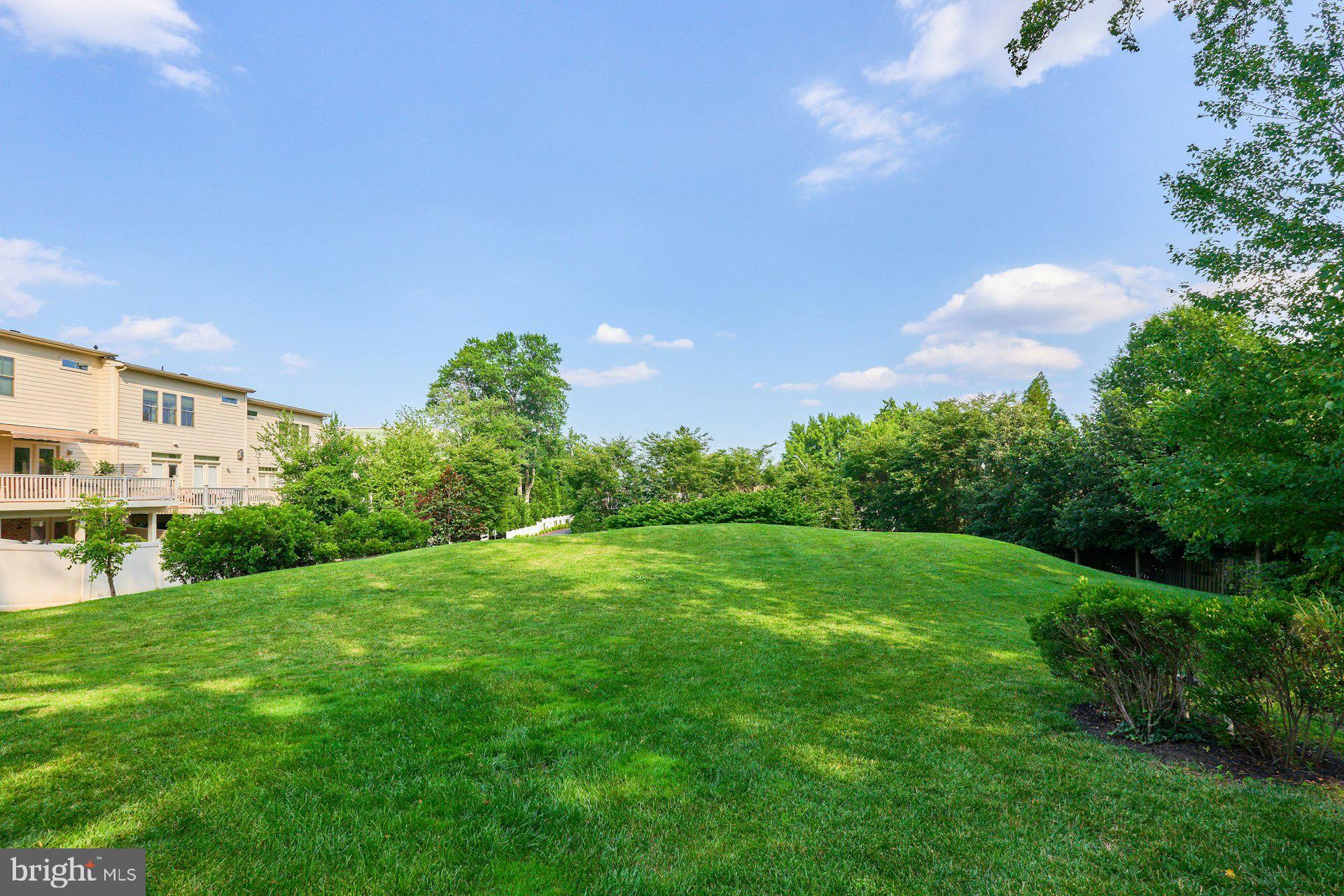 CHESTNUT PLACE - Residential