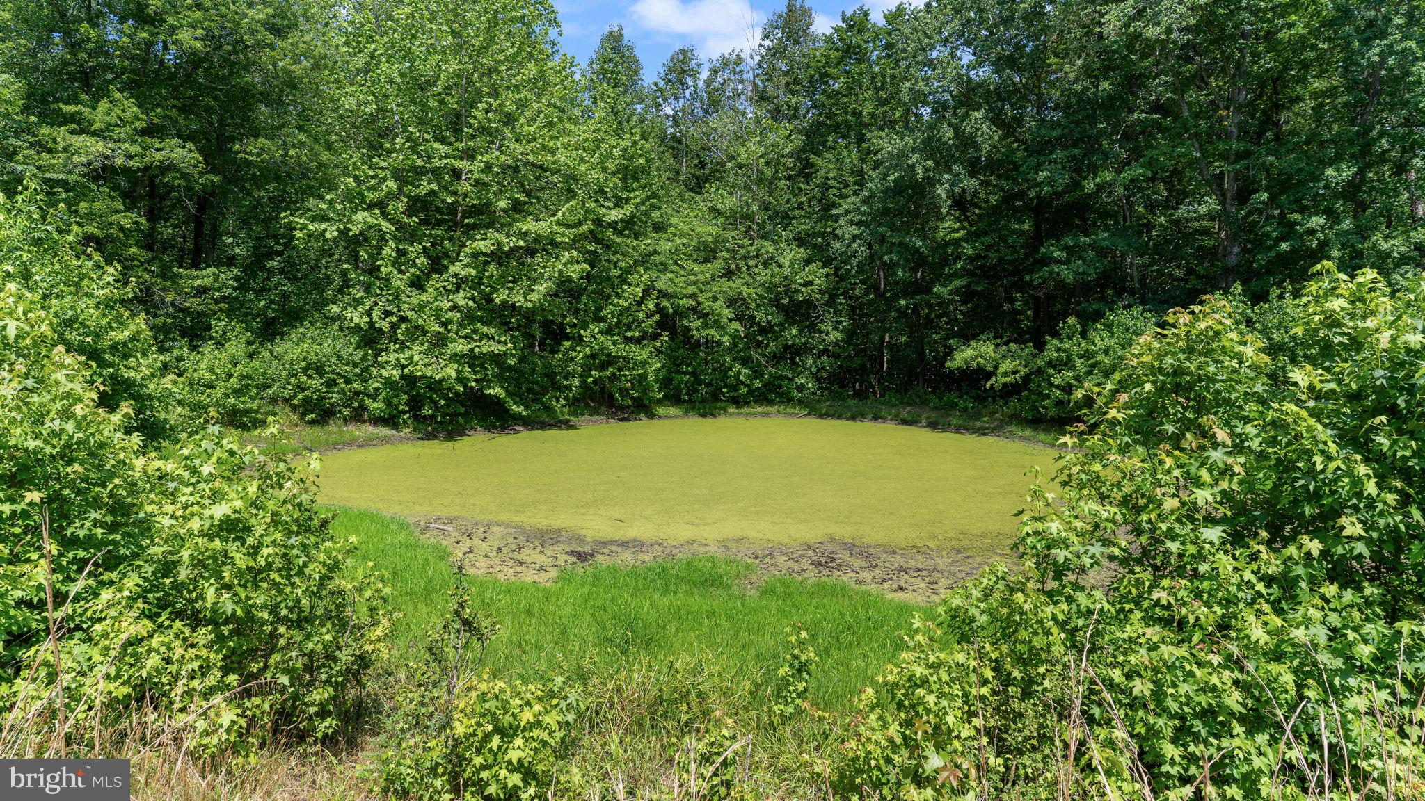 HUGHESVILLE - Residential