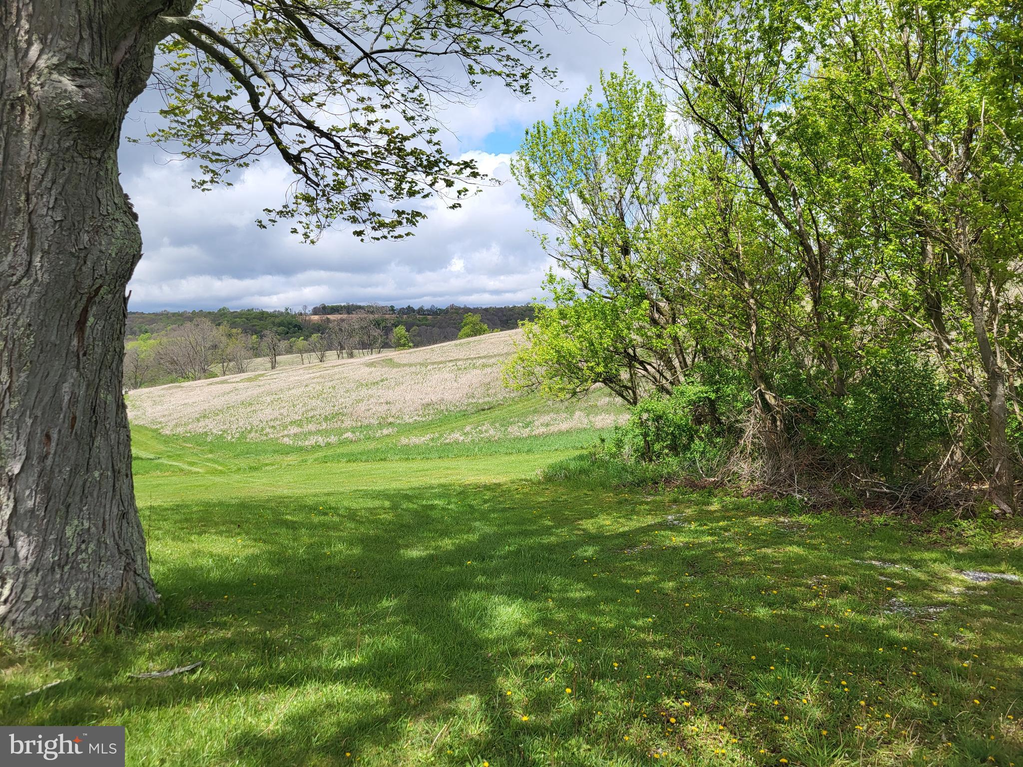 BEDFORD COUNTY - Residential