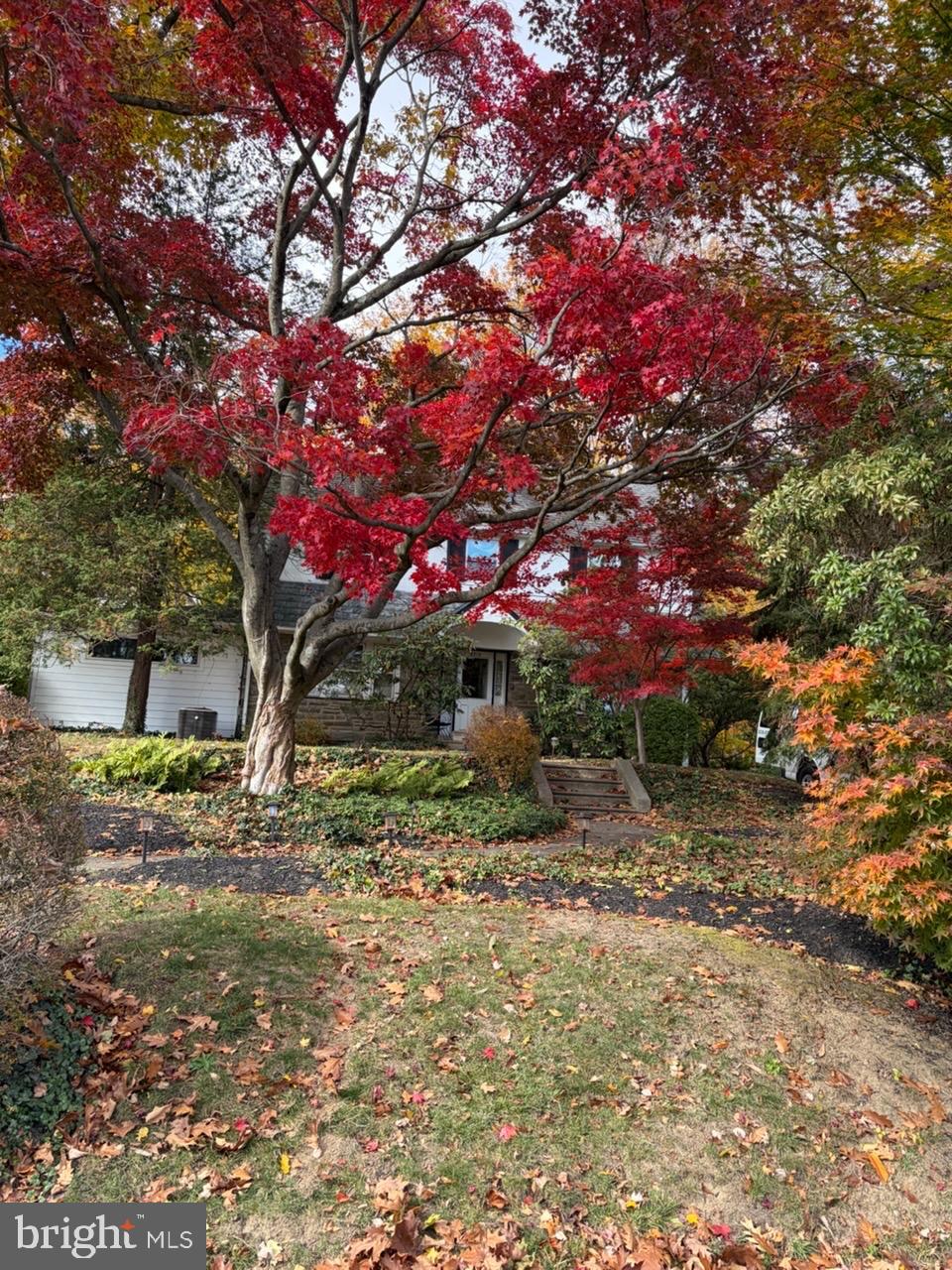 ELKINS PARK - Residential