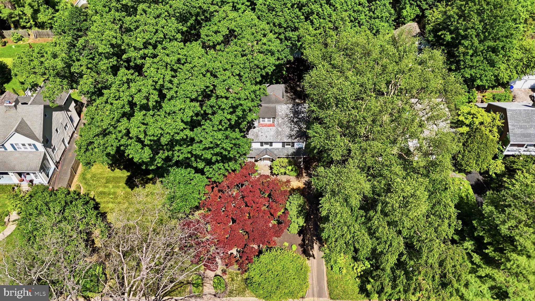 ELKINS PARK - Residential
