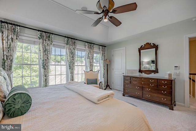 WINDSOR RIDGE - Residential