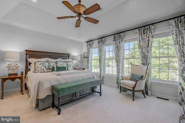 WINDSOR RIDGE - Residential