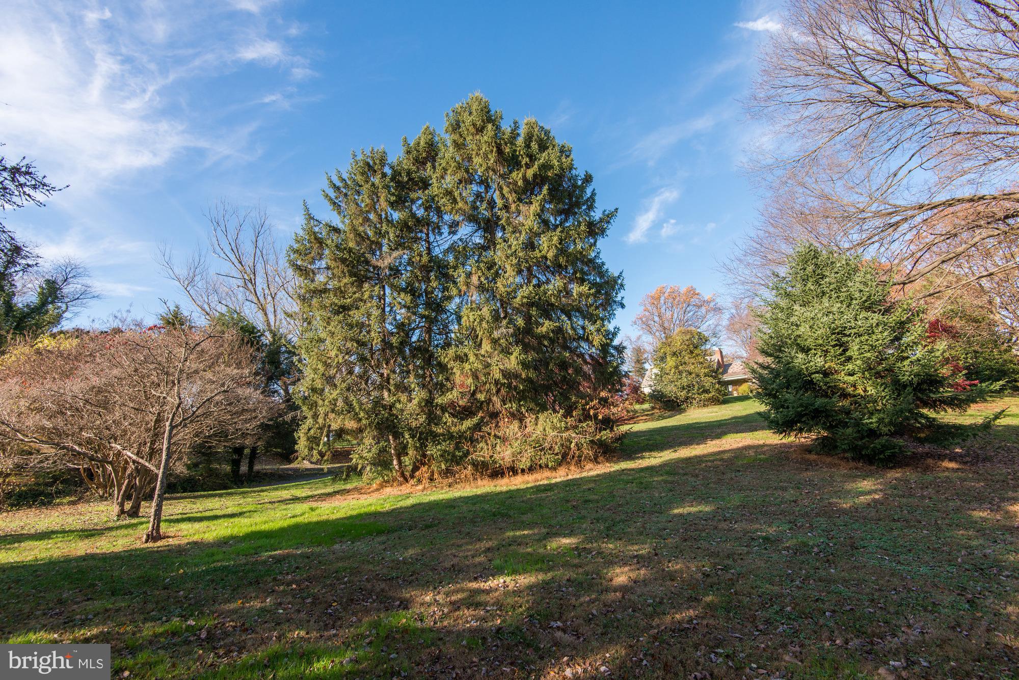 LANGLEY OAKS - Land