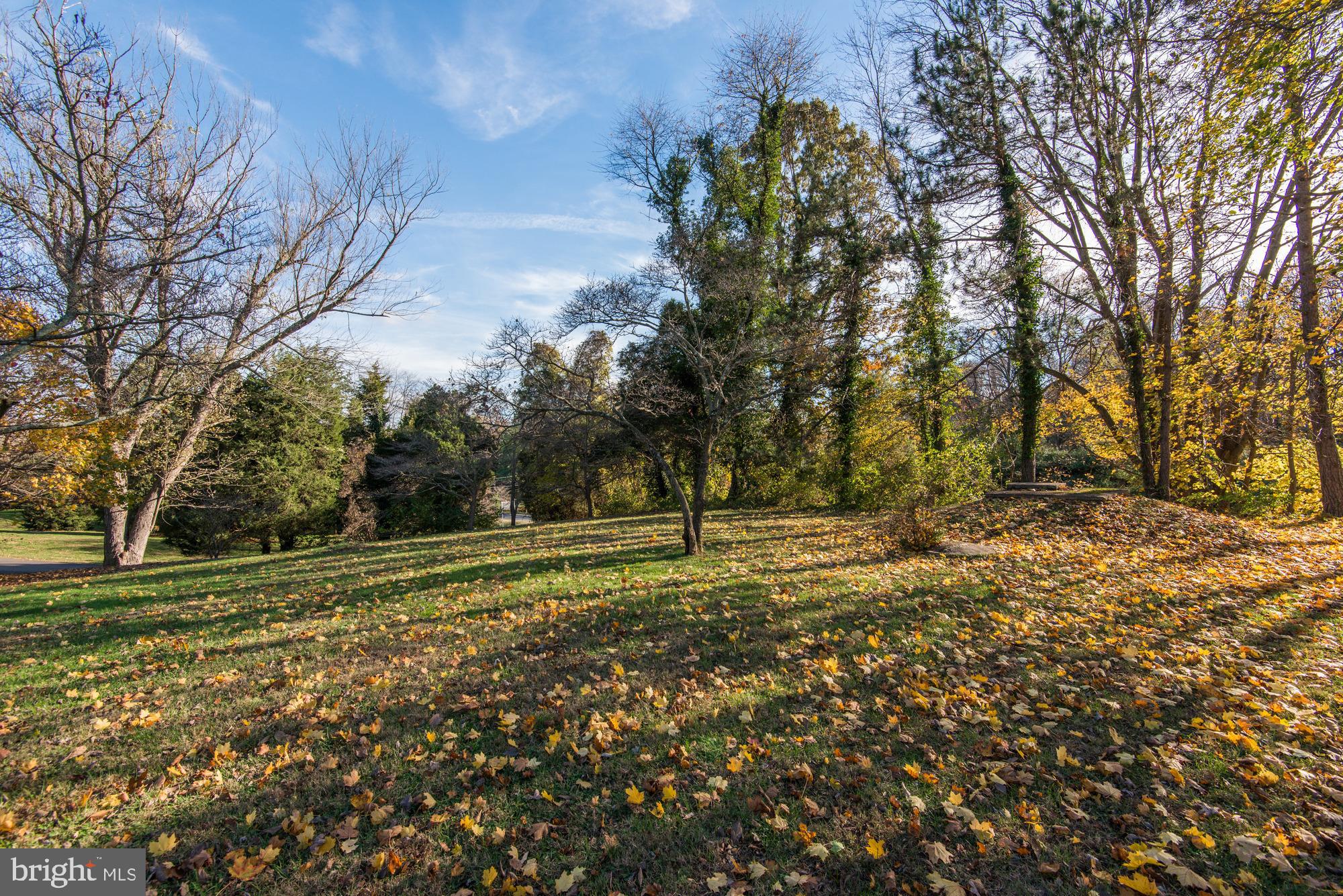 LANGLEY OAKS - Land