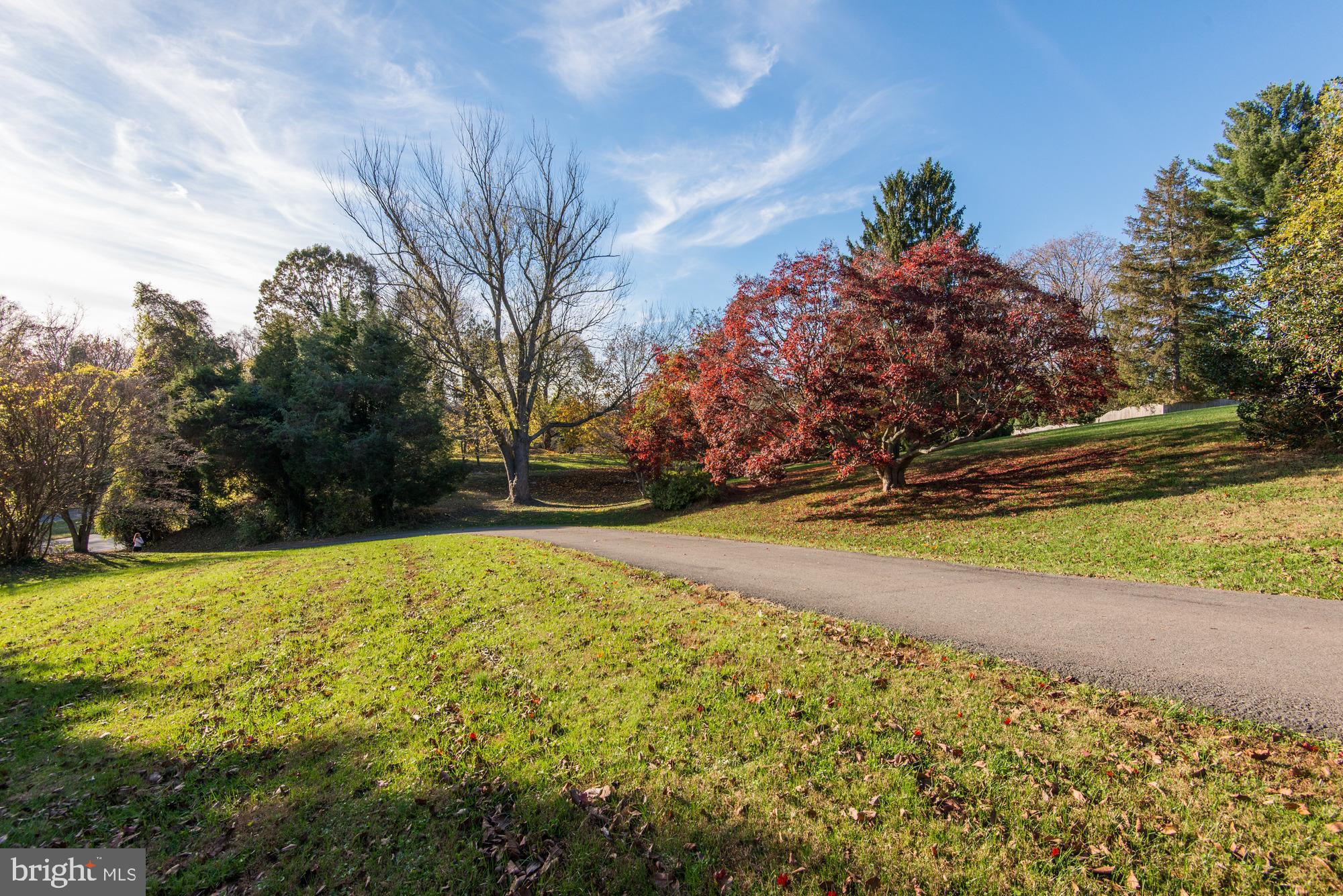 LANGLEY OAKS - Land