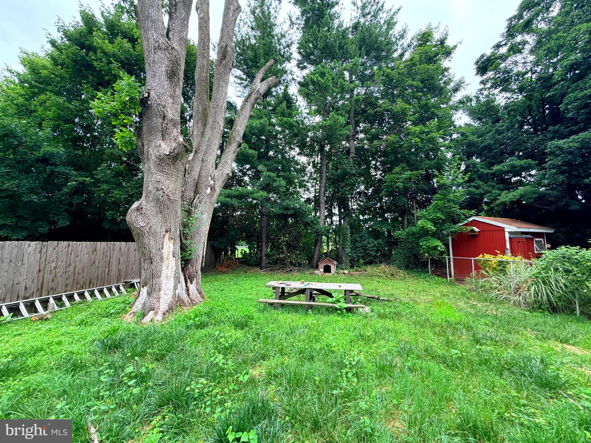 WYNDMOOR - Residential