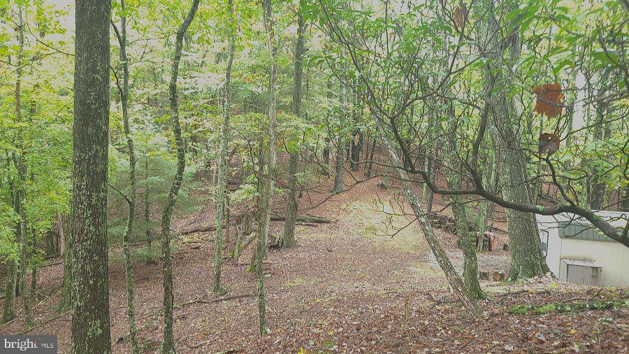 SUGAR GROVE ESTATES - Land