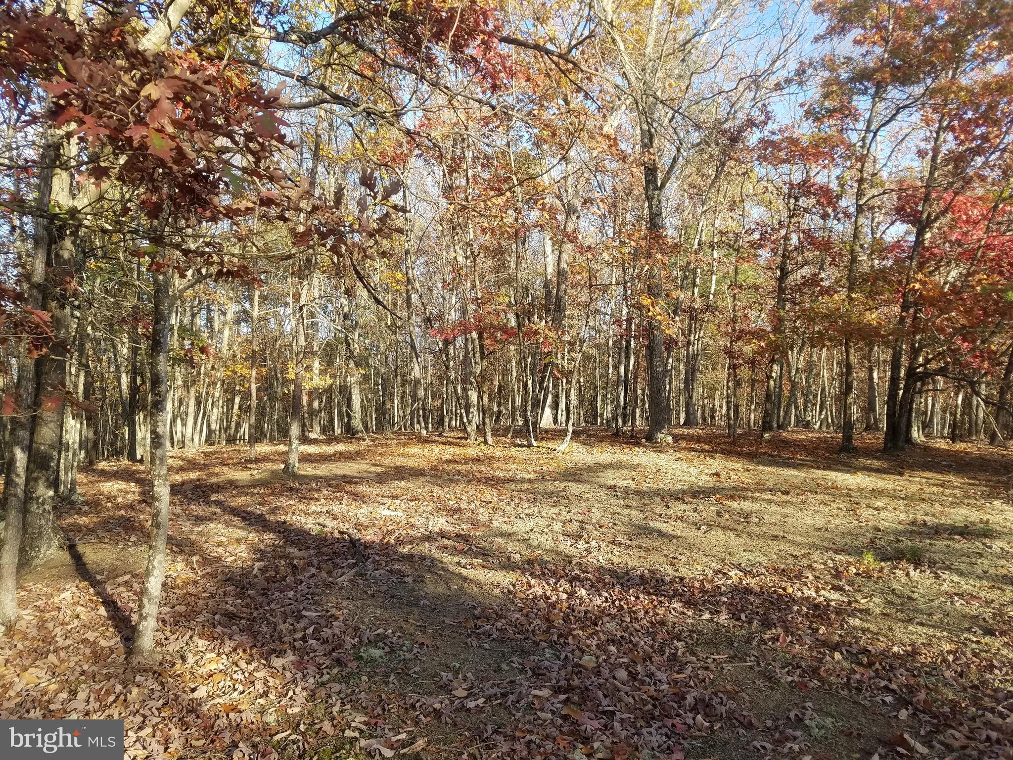 BEAUTIFUL CRYSTAL VALLEY ESTATES! Rurally located in the heart of Hampshire Co.  just four miles north of Romney.  This "wild life refuge" and older development sits on the east side of what is locally known as Herriots Mountain.  A mixture of sloping to gently rolling lots, all wooded with various potential build sites. Well maintained country roads throughout.  Only minutes from public access to the South Branch River.  Also nearby is Crystal Valley Ranch Restaurant (horse stables and riding trails)...Lot #29, 2.2 acres, lays beautiful...Build  that home or getaway cabin!!!  Other lots available, see plats and lot list...