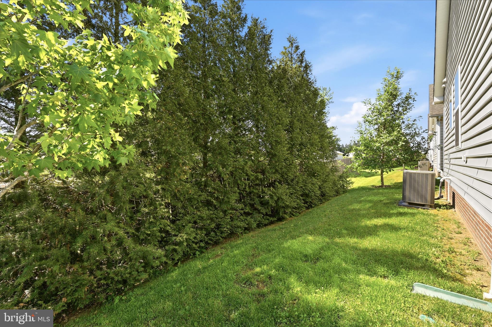 CEDAR MEADOWS - Residential