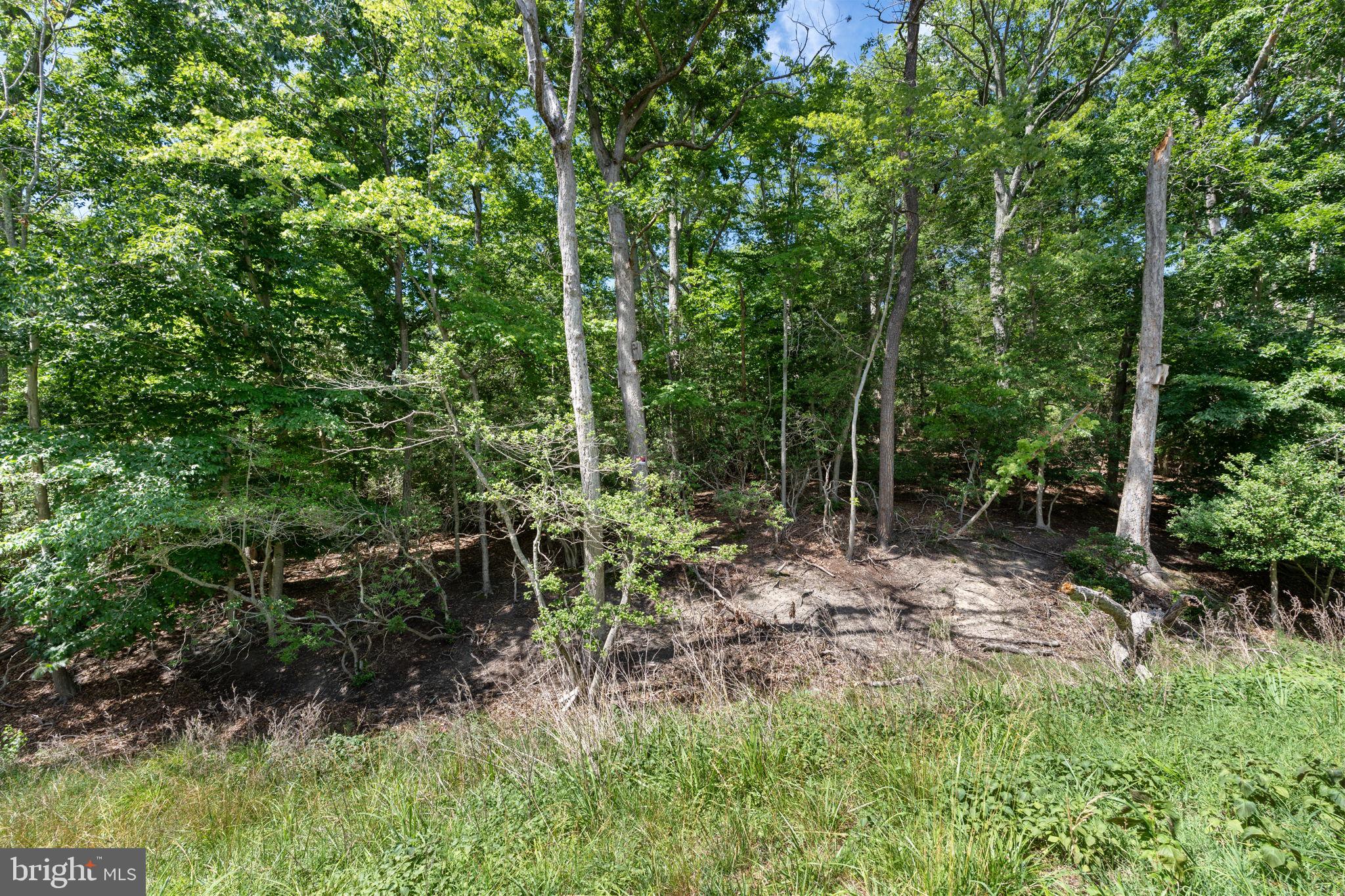 CHESAPEAKE RANCH ESTATES - Residential