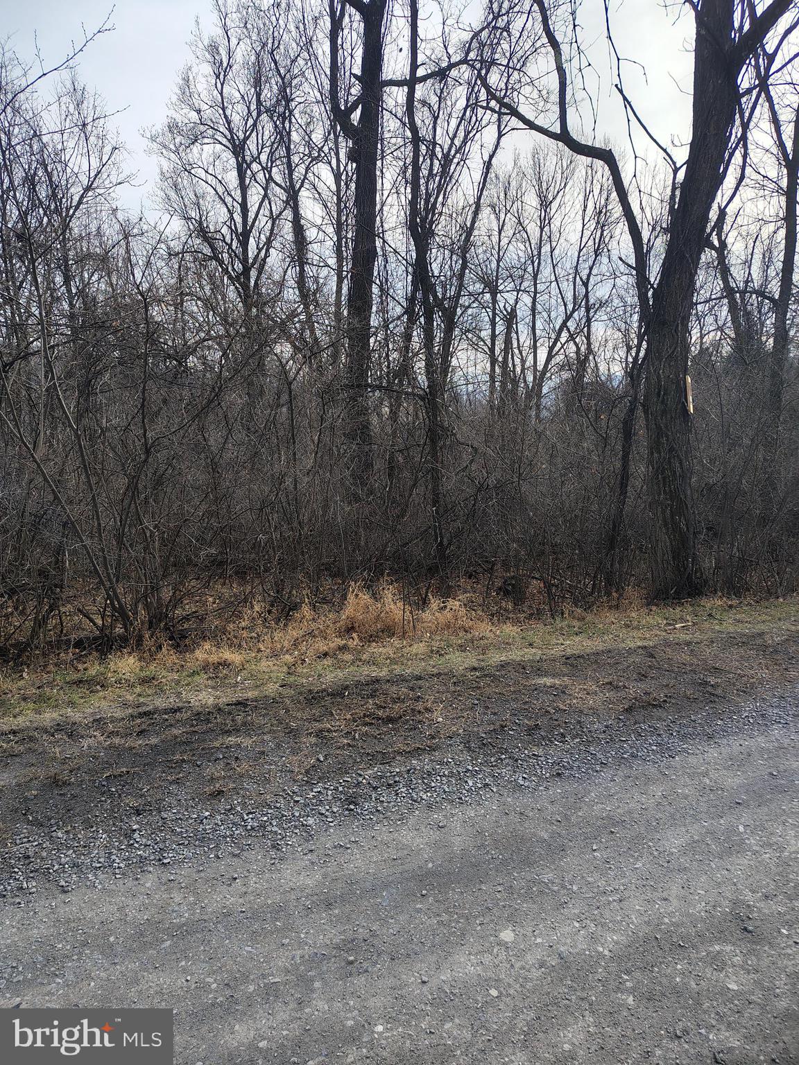 Two adjoining building lots totaling approximately 0.35 acres, offered together in a peaceful, natural setting.  The two adjoining lots being sold together total .35 acres , Tax ID 31 A2 3 2 7 and 31 A2 3 2 8 .  HOA is $50 per  lot annually . Quite setting to enjoy nature.