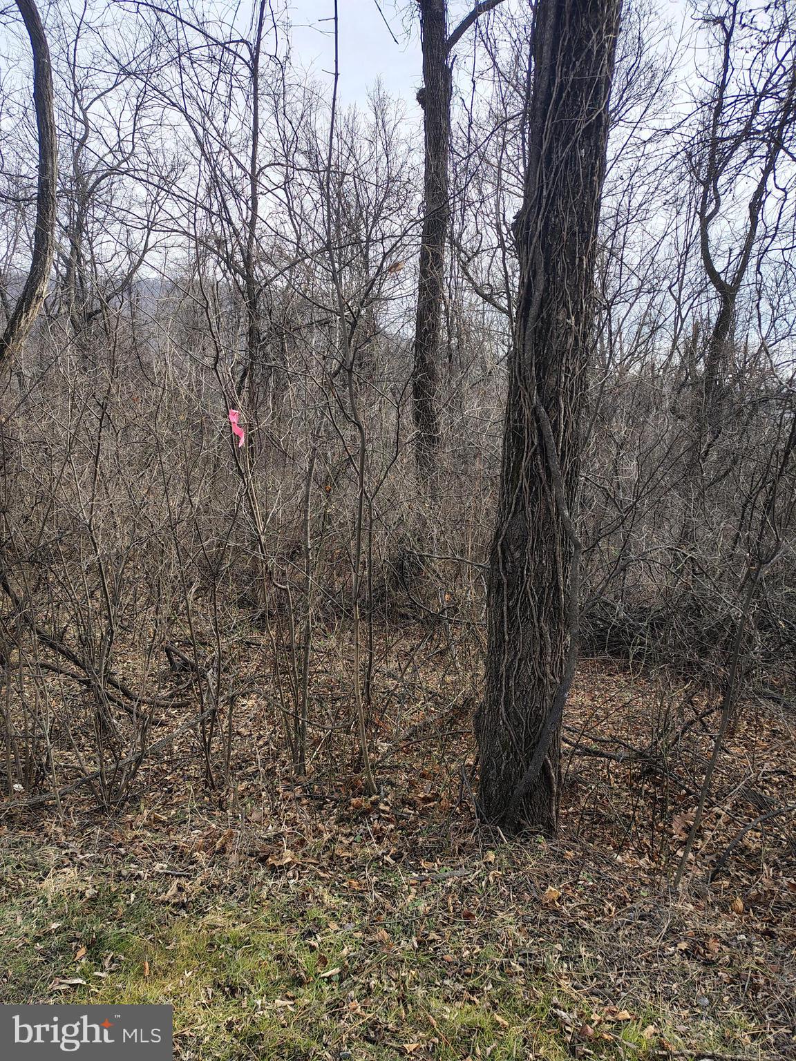 BLUE RIDGE MOUNTAIN ESTATES - Land