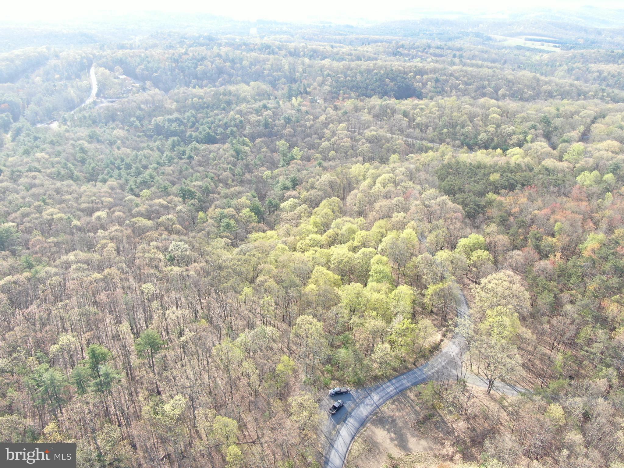EXCELLENT PROPERTY IN PETERSBURG, PA! This great property is just minutes from State College and within walking distance of Penn State University lands, Rothrock State Forest, and Whipple Dam State Park! Great hunting and some mature timber on the property with approx. 2,200 feet of road frontage. Convenient to Rt 26, 45, and other local roadways! Make this your private getaway! This property will be offered at online only auction on Wednesday May 21, 2025 @ 3:00pm. The List price in no way represents a minimum, starting, or acceptable bid.