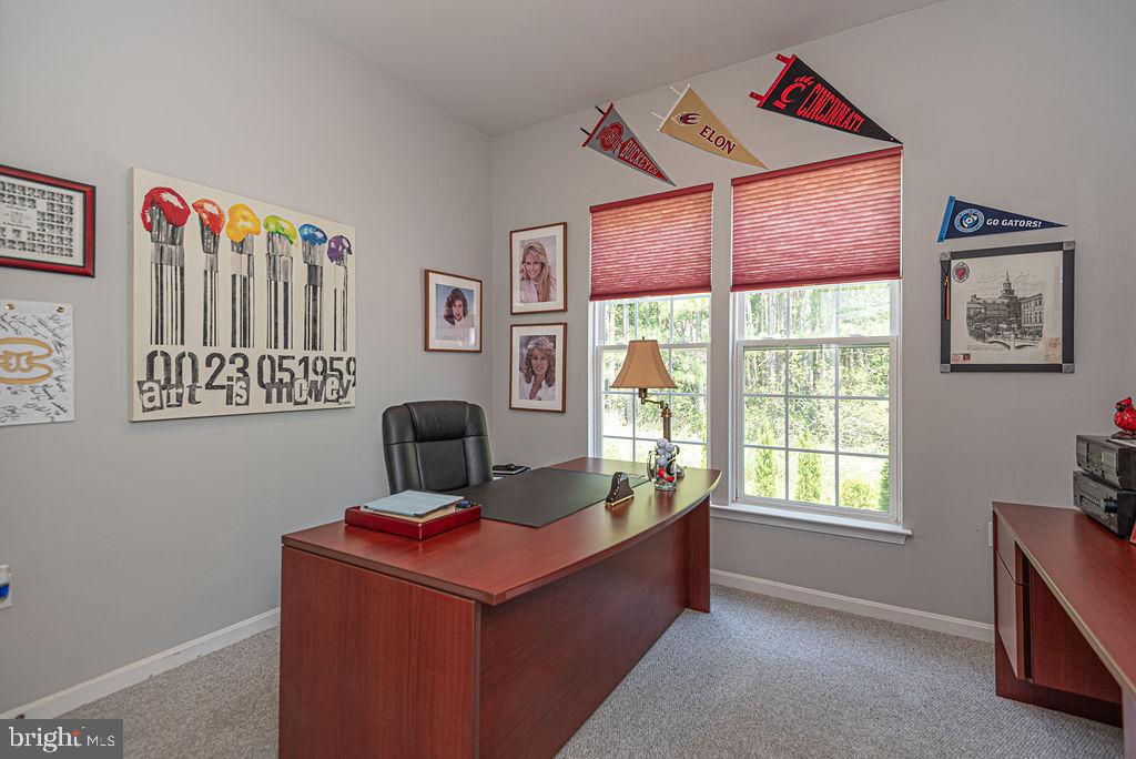 OCEAN PINES - THE PARKE - Residential