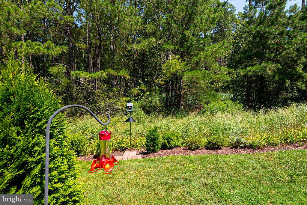OCEAN PINES - THE PARKE - Residential