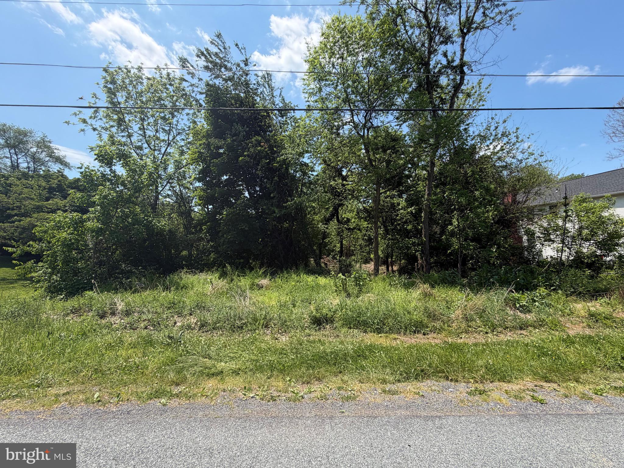 Build your dream home on this beautiful half-acre lot nestled in the highly desirable Carroll Valley community. Enjoy the perfect blend of peaceful surroundings and convenient access to local amenities, golf, skiing, hiking, and commuter routes. Public sewer hookup is available, making this an ideal opportunity for your future home or investment property. Surrounded by scenic mountain views and established homes, this property offers the charm and tranquility of Carroll Valley living with plenty of space to create your own private retreat. Don’t miss this rare opportunity to own land in one of the area’s most sought-after neighborhoods!