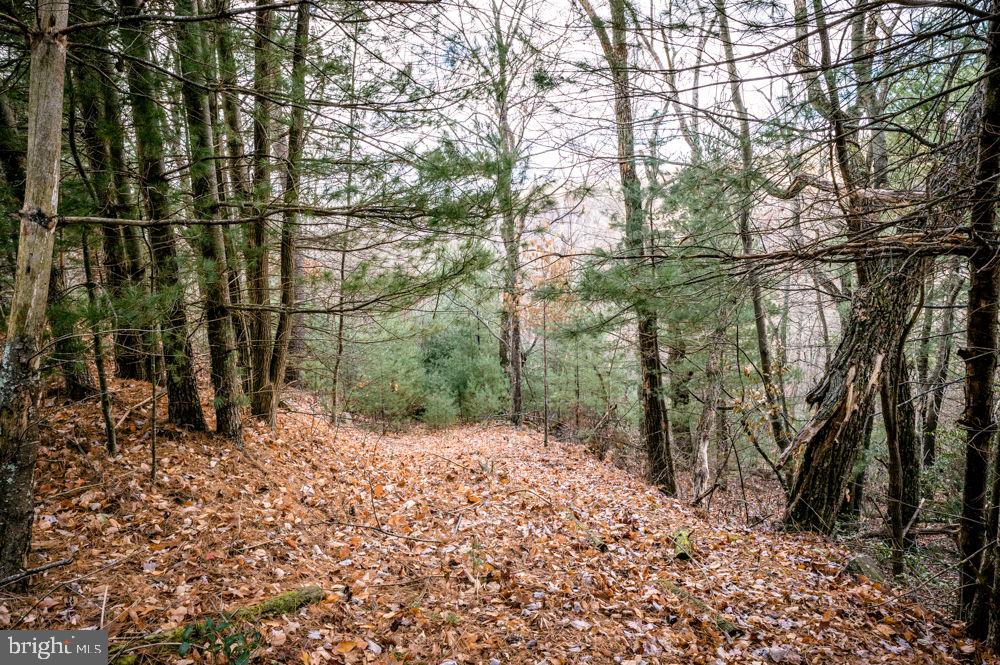 BUCK RIDGES (FORMERLY TREASURE MOUNTAINS) - Land