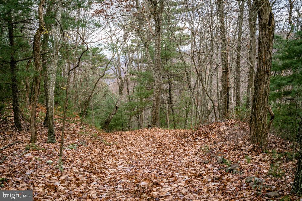 BUCK RIDGES (FORMERLY TREASURE MOUNTAINS) - Land