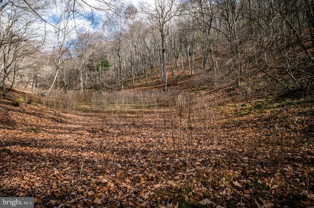 BUCK RIDGES (FORMERLY TREASURE MOUNTAINS) - Land
