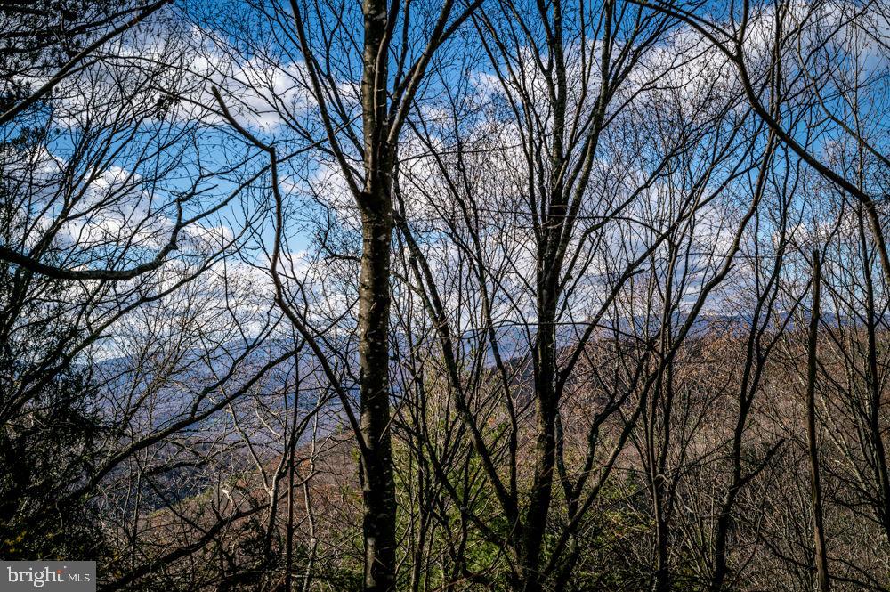 BUCK RIDGES (FORMERLY TREASURE MOUNTAINS) - Land