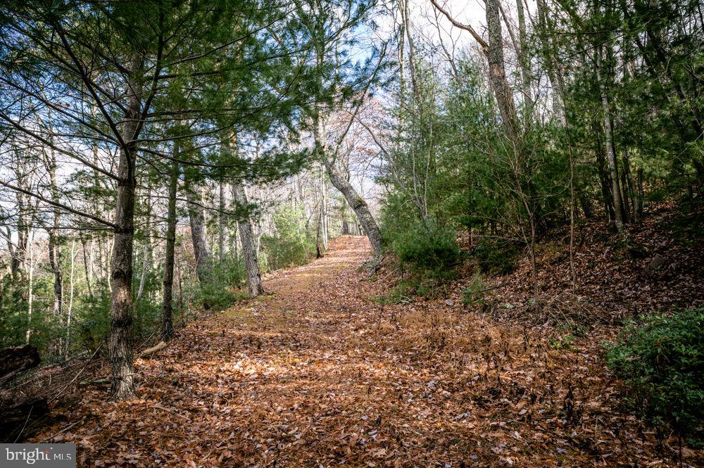 BUCK RIDGES (FORMERLY TREASURE MOUNTAINS) - Land